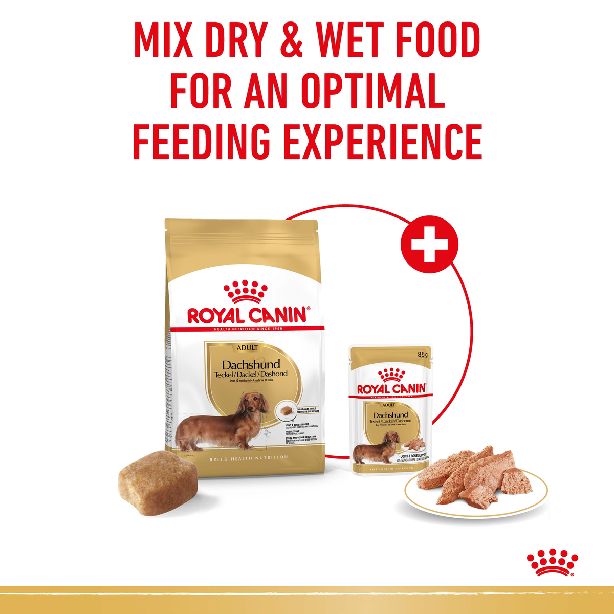 Royal Canin Dachshund dry bag and wet pouch shown together for mixed feeding