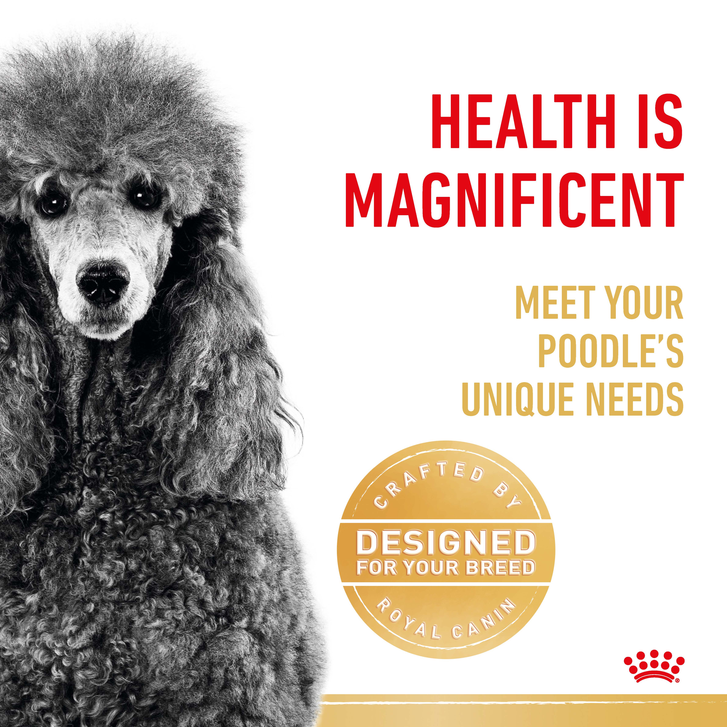Royal Canin Poodle Adult, dry dog food, 1.5kg or 7.5kg bags, adult dog