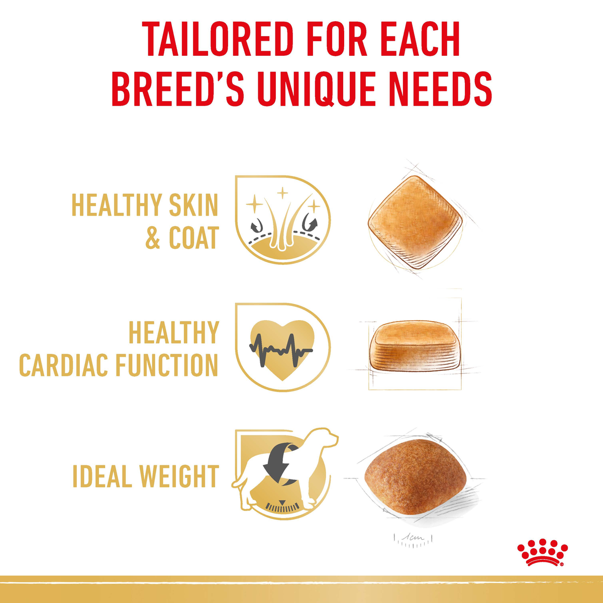 Royal Canin Golden Retriever benefits: healthy skin and coat, cardiac function, ideal weight
