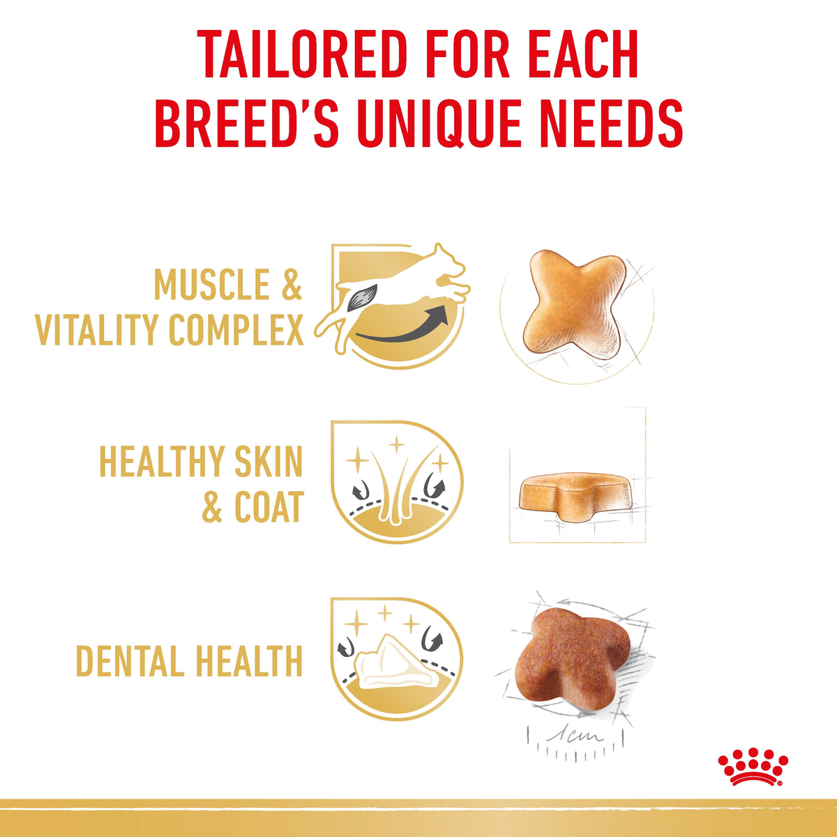 Royal Canin Jack Russell benefits: muscle and vitality complex, skin and coat, dental health