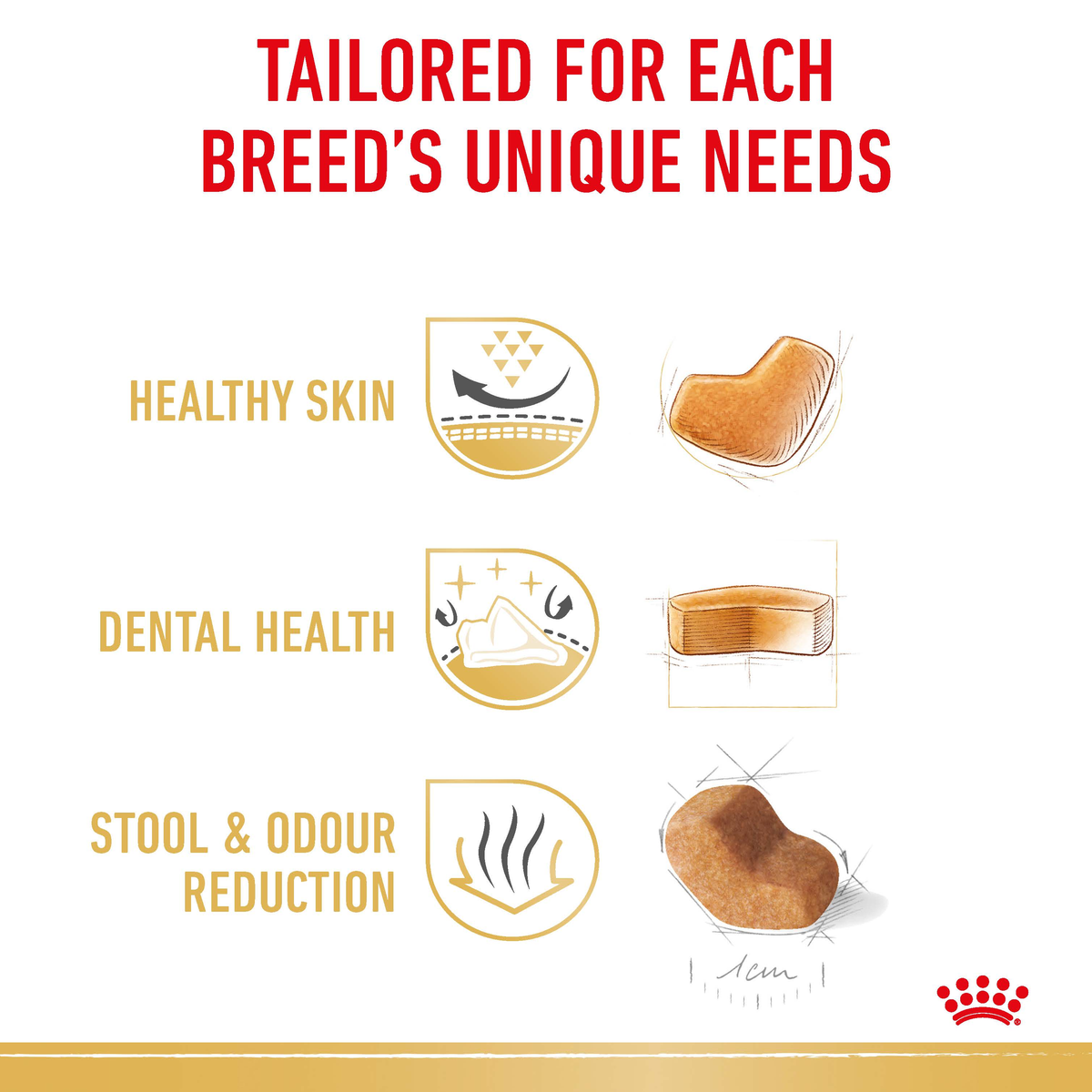 Royal Canin Shih Tzu benefits: healthy skin, dental health, stool and odour reduction
