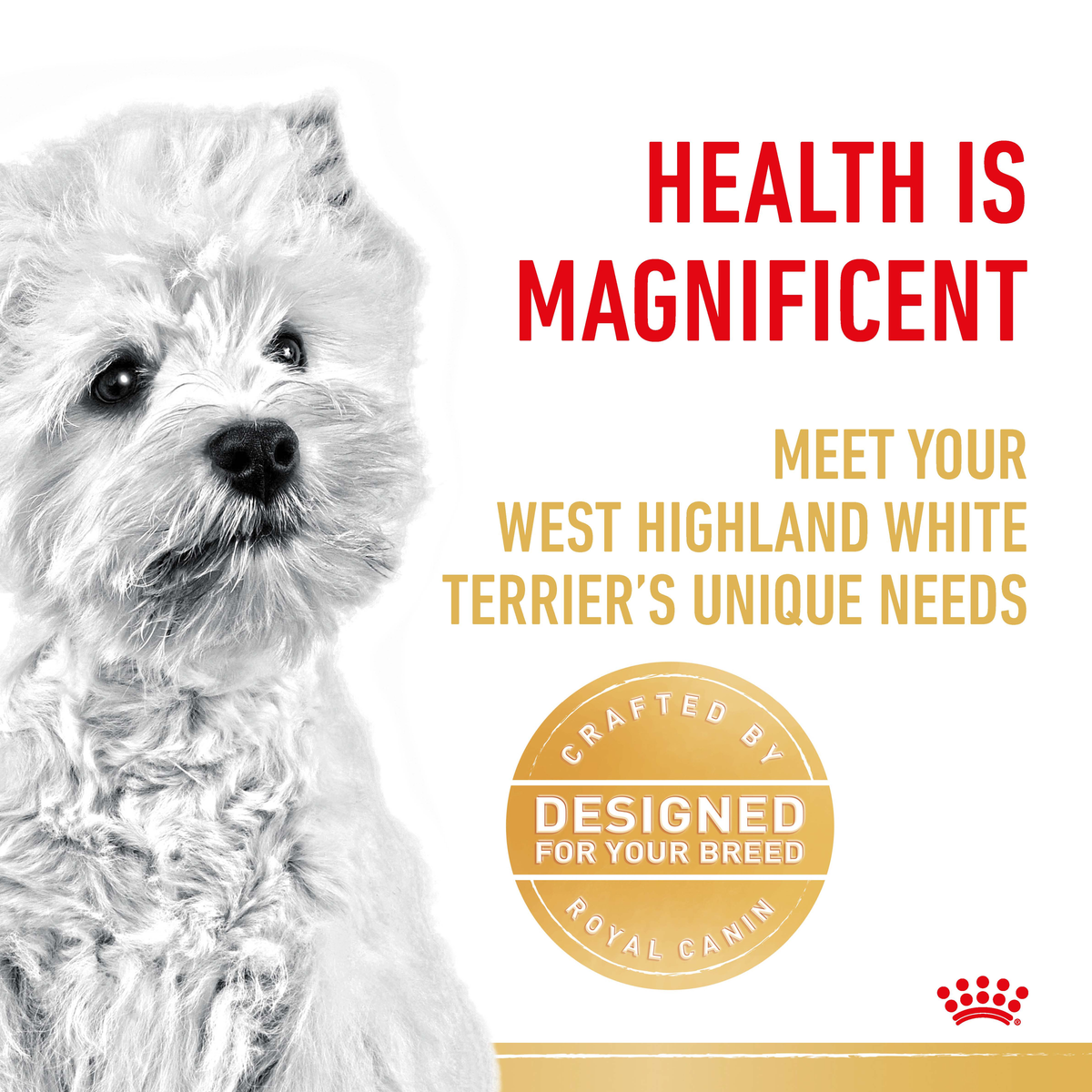 Black and white close-up of a West Highland White Terrier beside a breed-designed seal