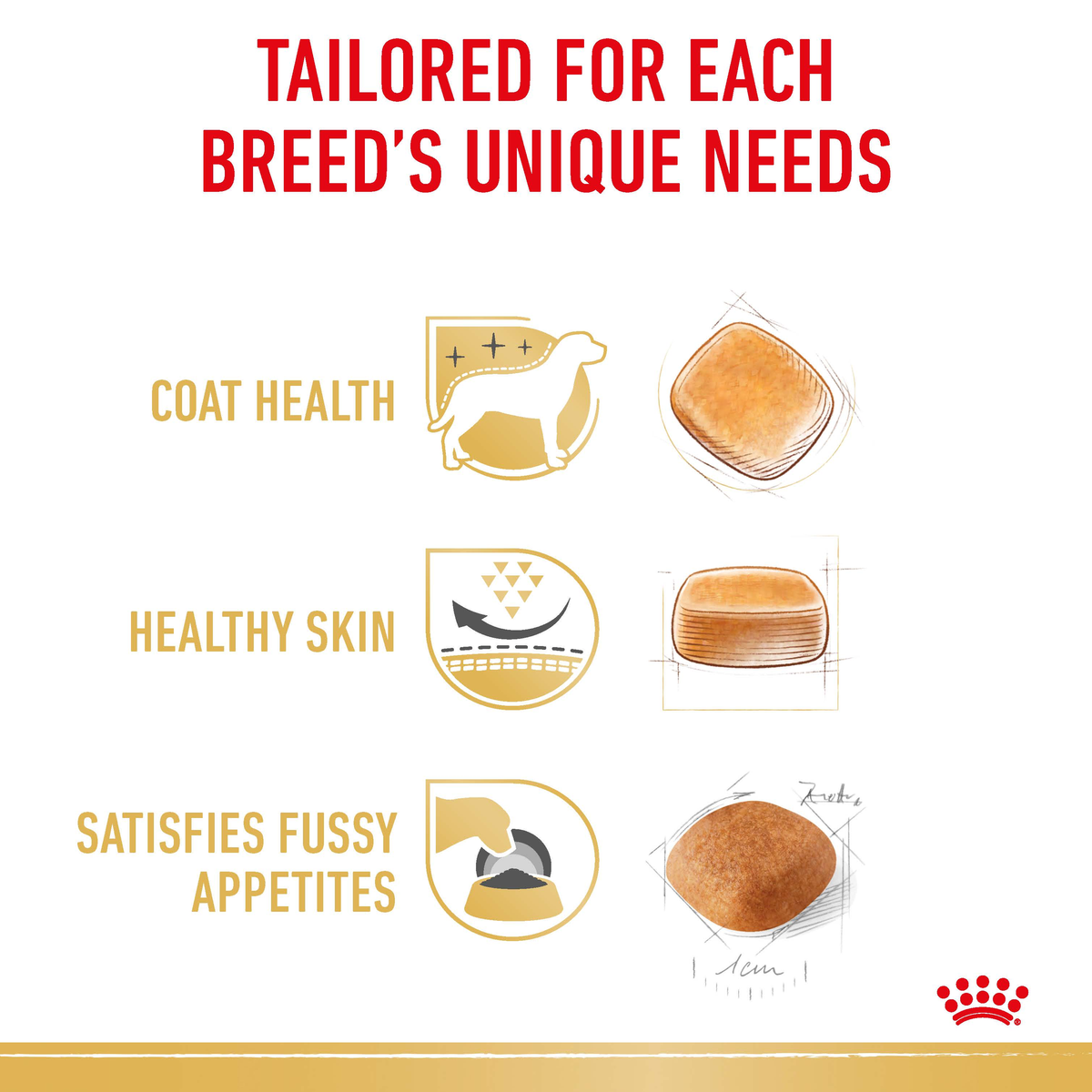 Royal Canin West Highland White Terrier benefits: coat health, healthy skin, fussy appetites