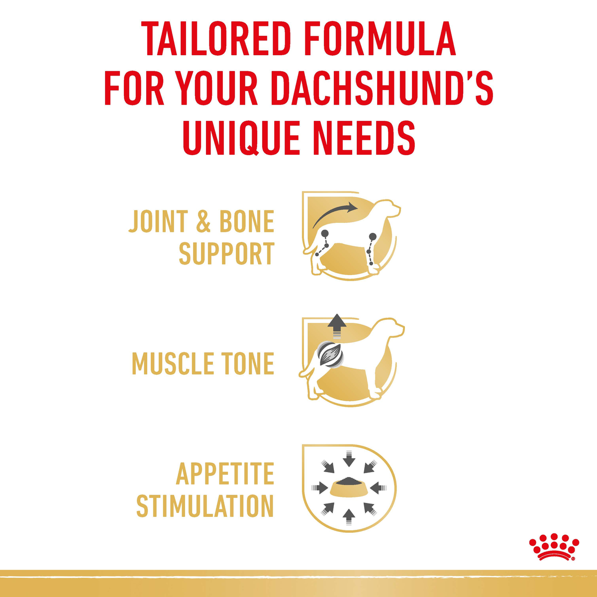 Royal Canin Dachshund benefits: joint and bone support, muscle tone, appetite stimulation