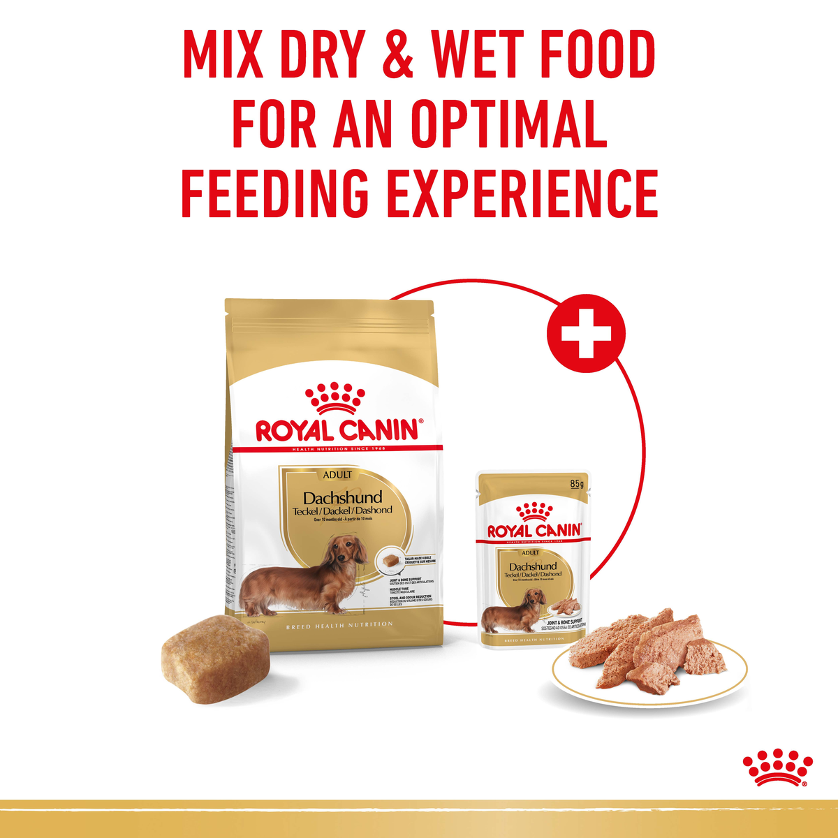 Royal Canin Dachshund dry bag and wet pouch shown together for mixed feeding
