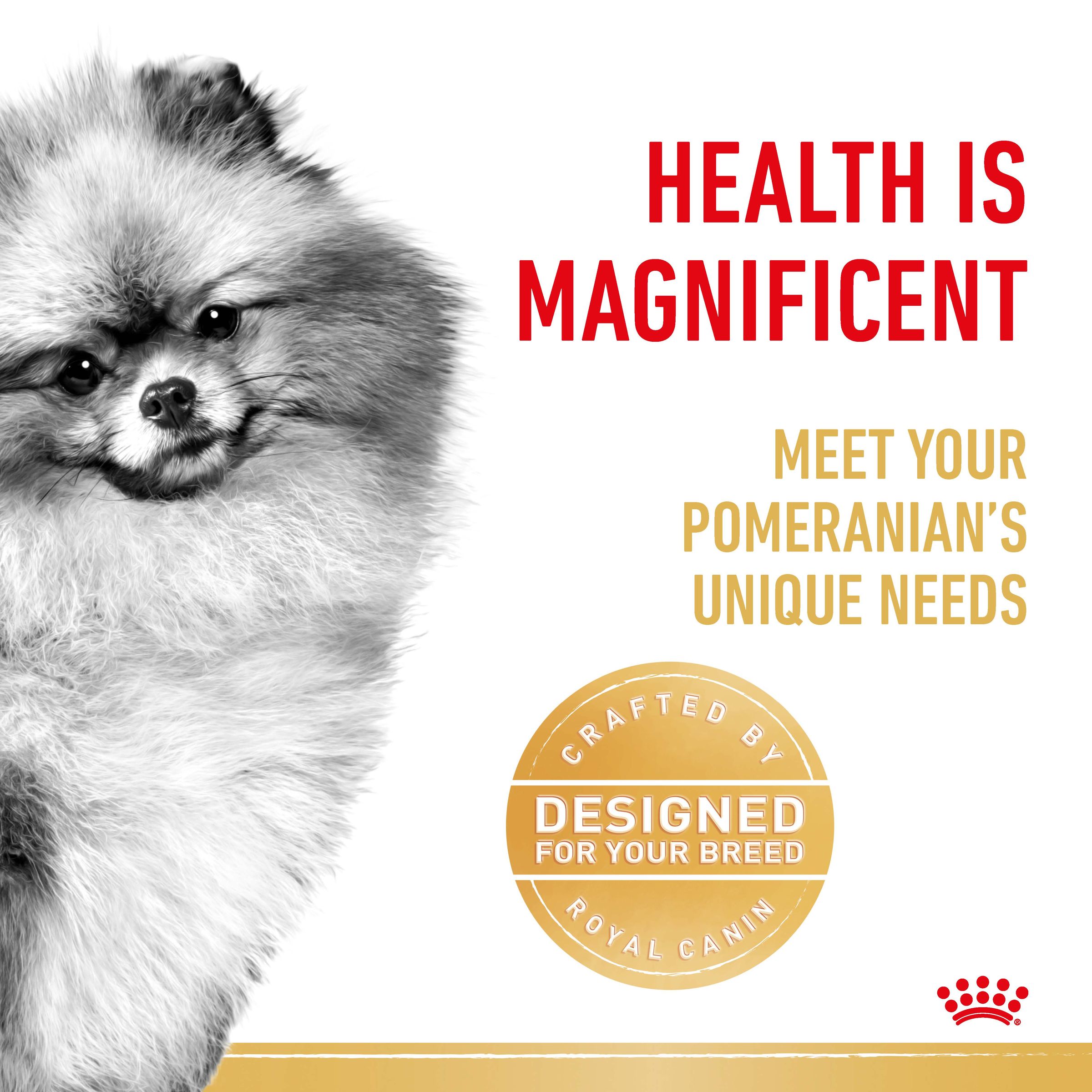 Royal Canin Pomeranian Wet Dog Food in Loaf product detail 3