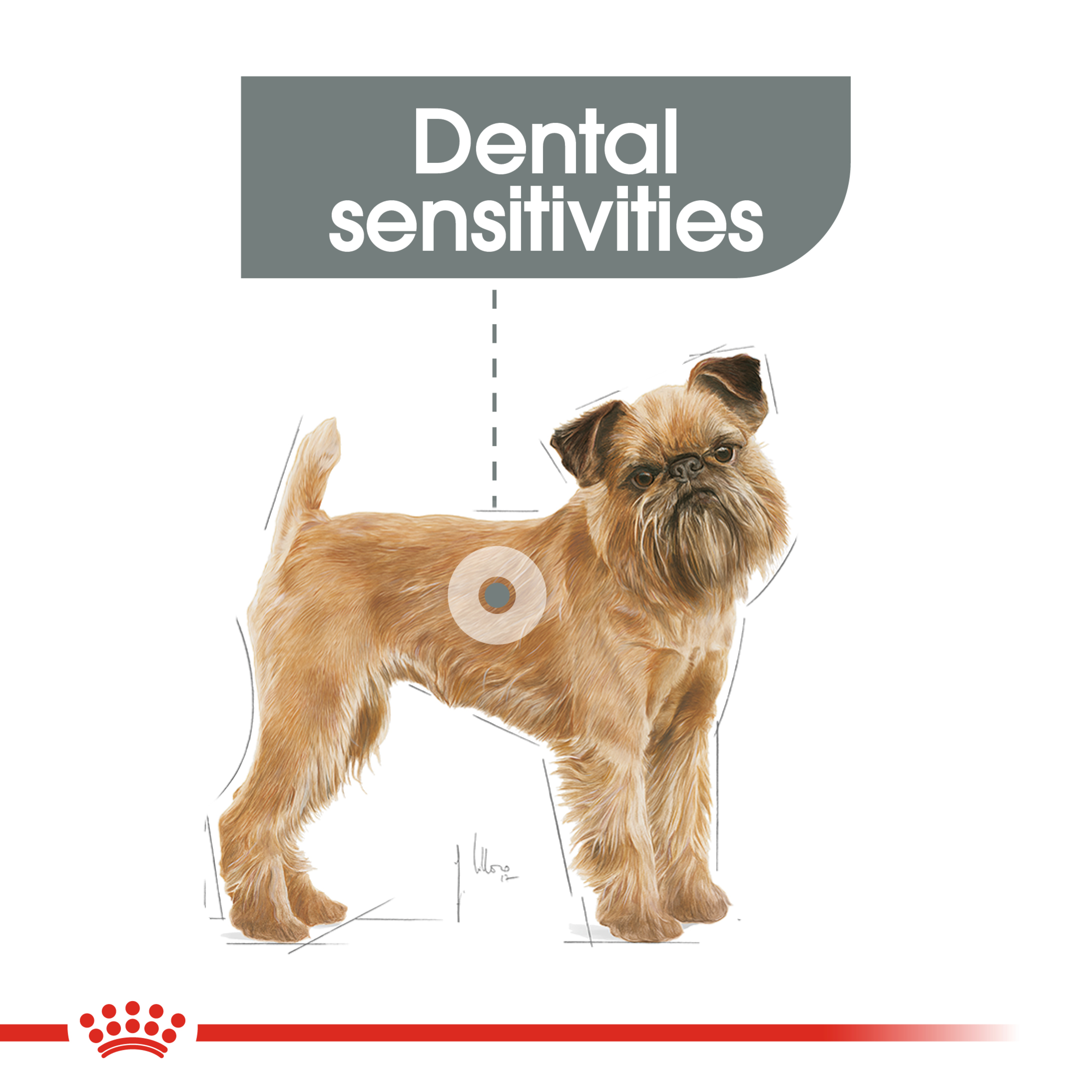 Royal Canin Mini Dental Care product detail 2