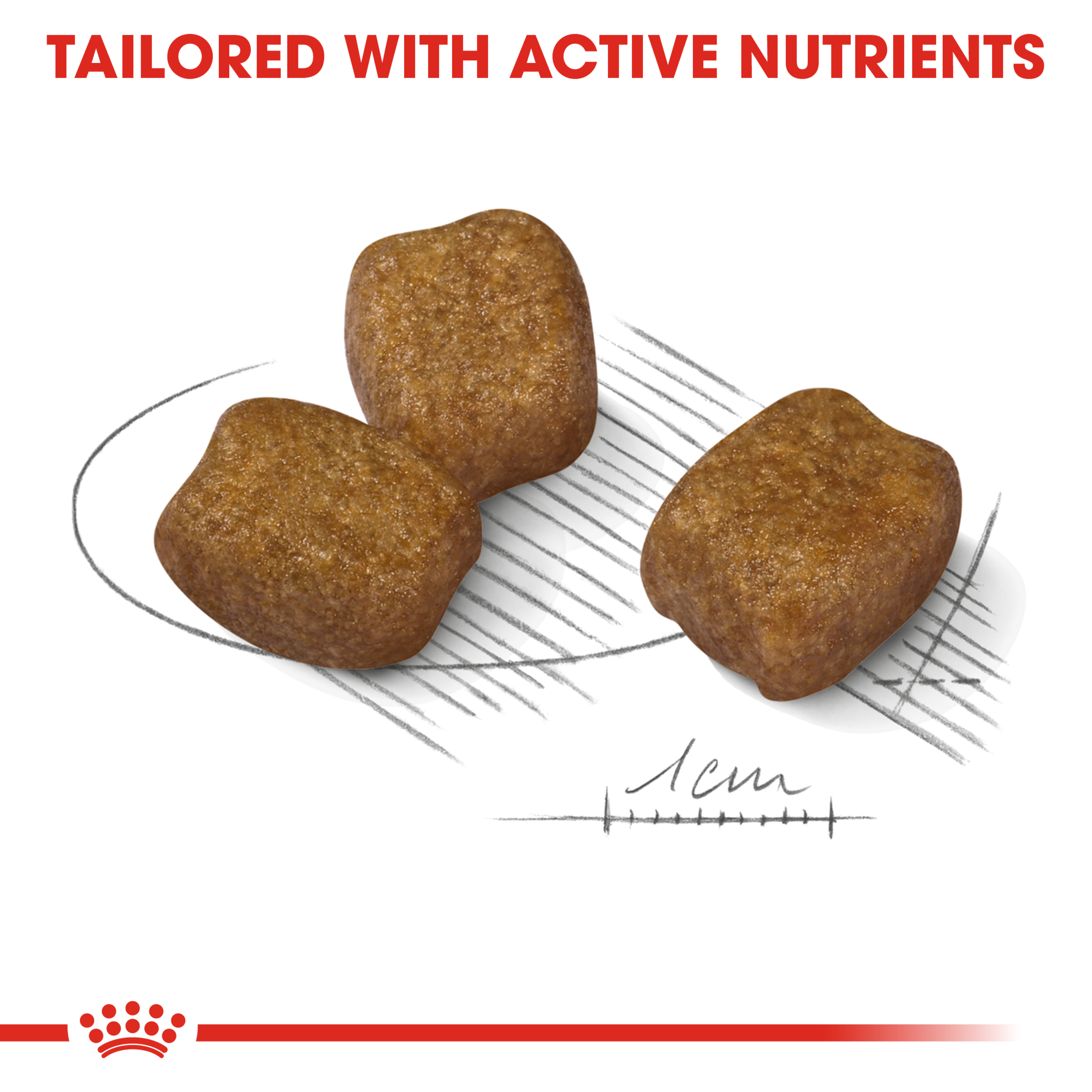 Royal Canin Mini Dental Care product detail 3
