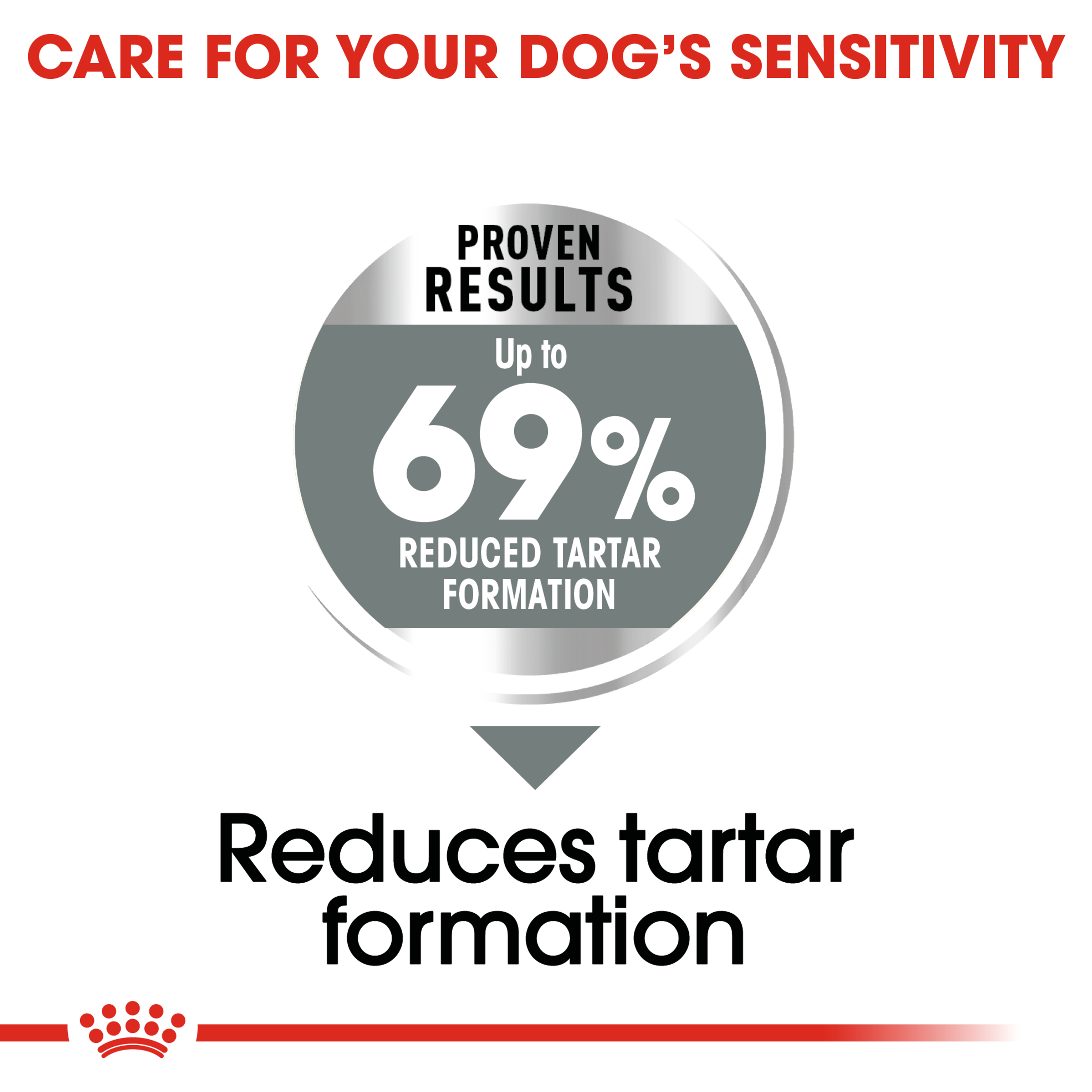 Royal Canin Mini Dental Care product detail 4