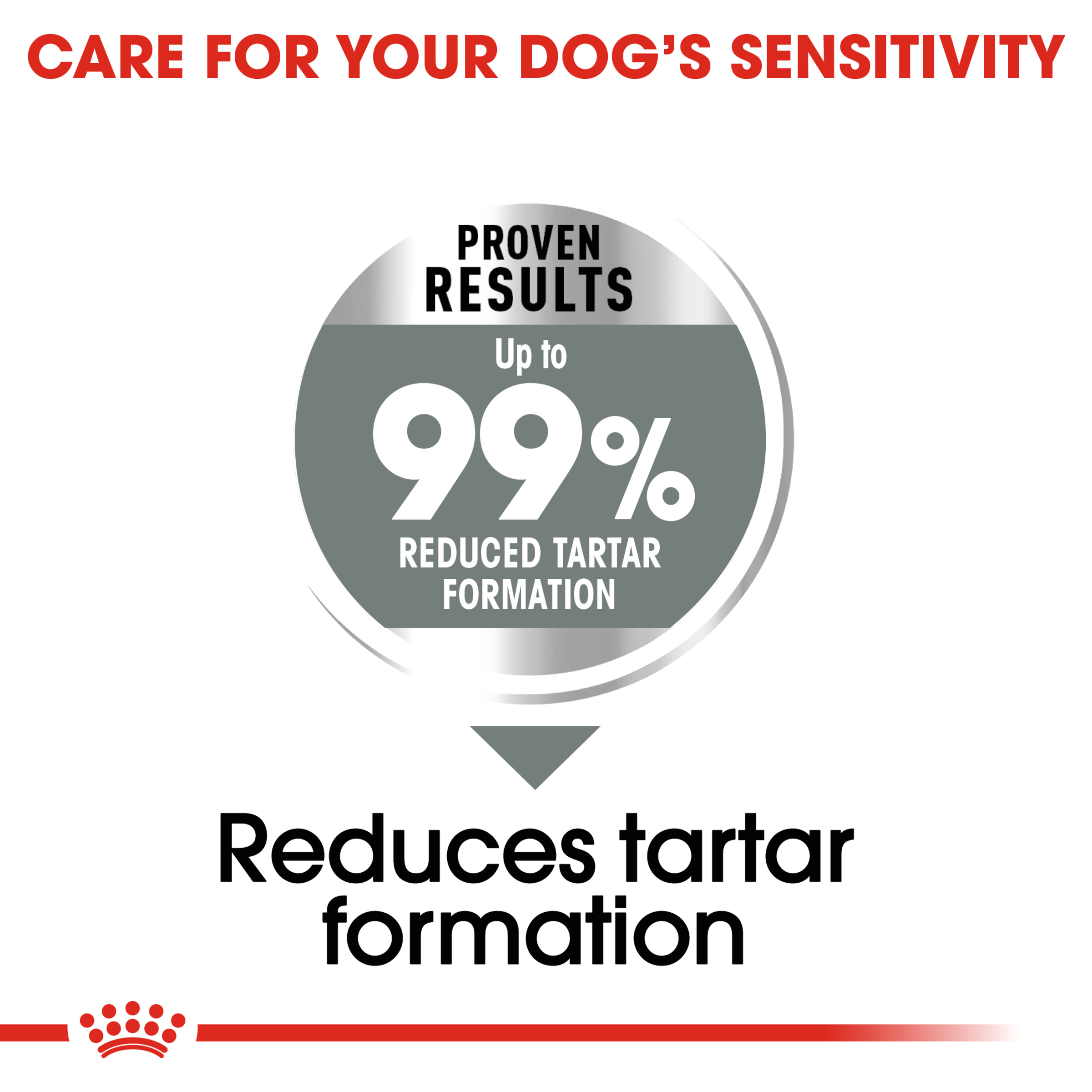 Royal Canin Medium Dental Care product detail 4
