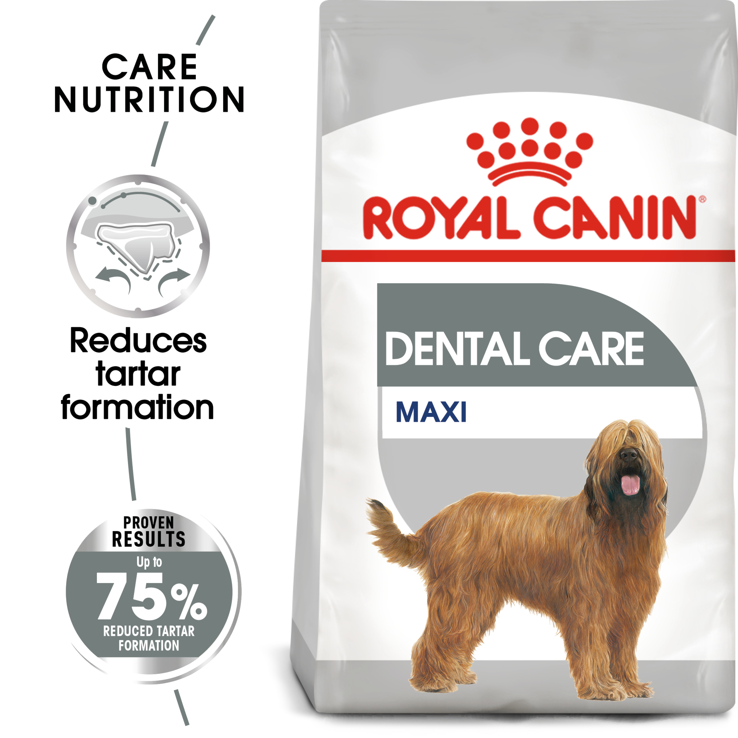Royal Canin Maxi Dental Care product detail 1