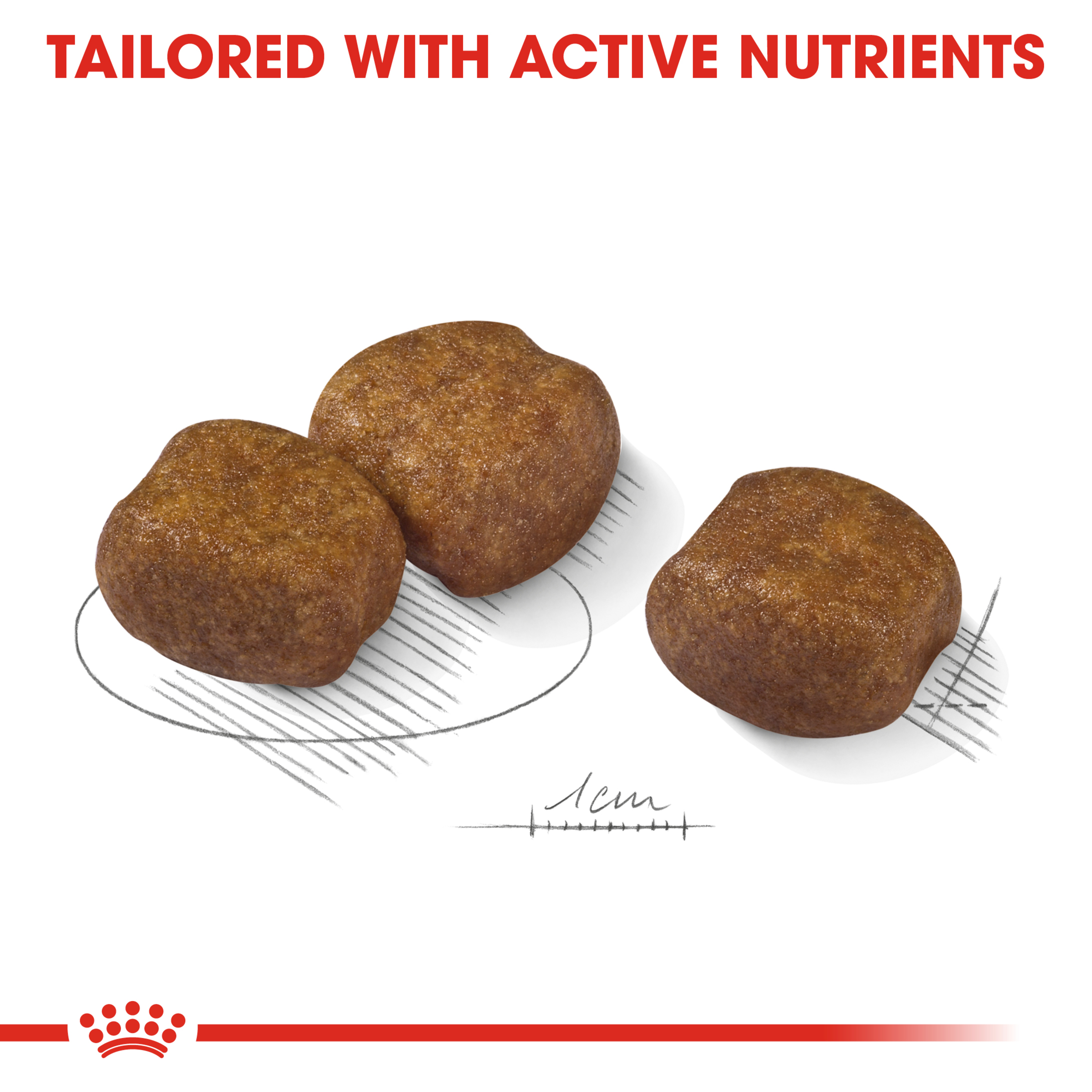 Royal Canin Maxi Dental Care product detail 3