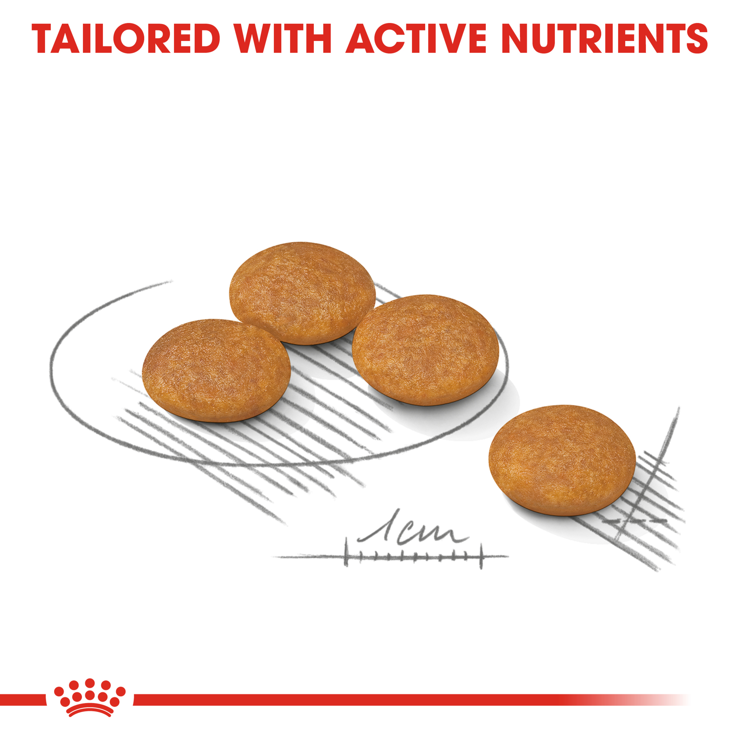 Royal Canin Mini Dermacomfort product detail 3