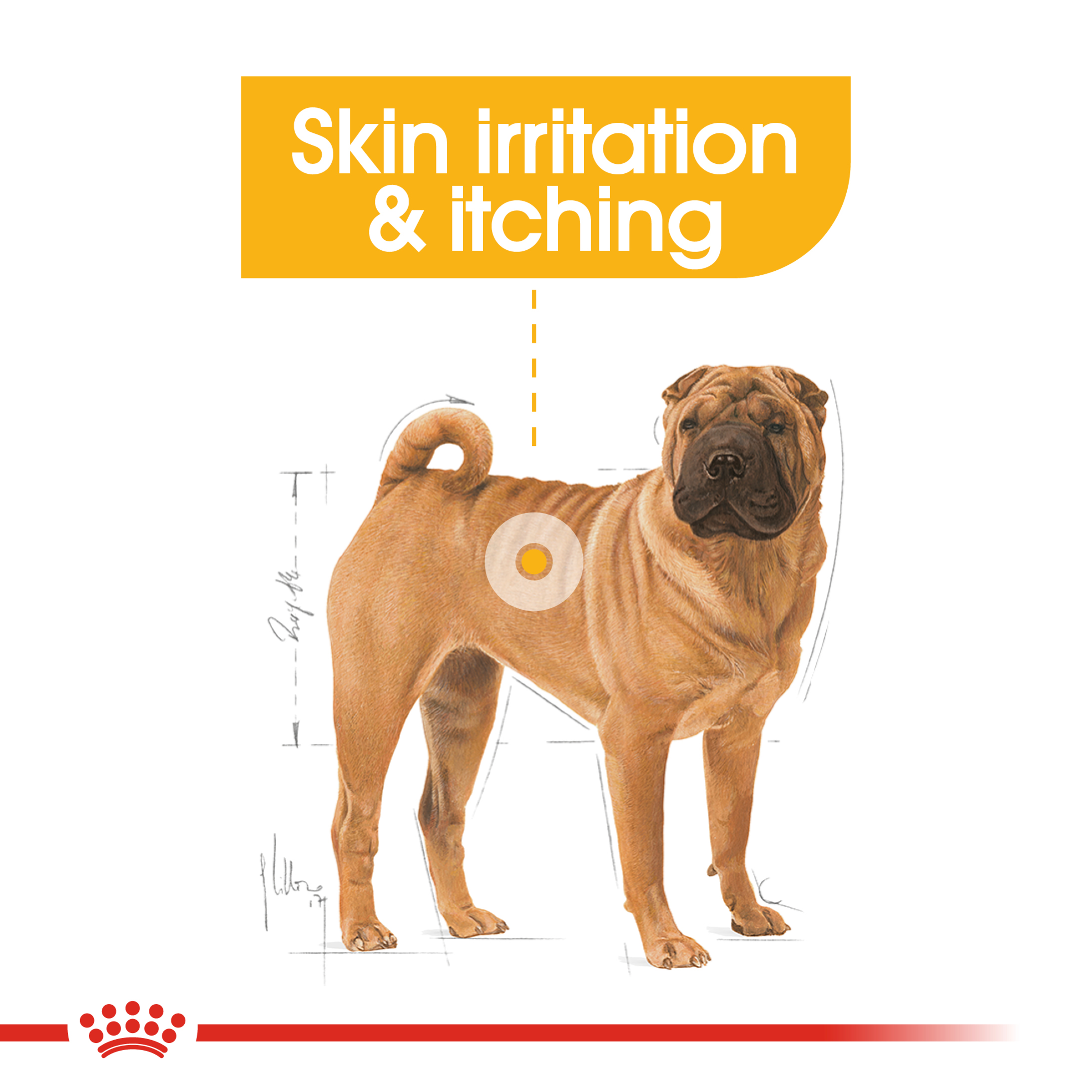 Royal Canin Medium Dermacomfort product detail 3