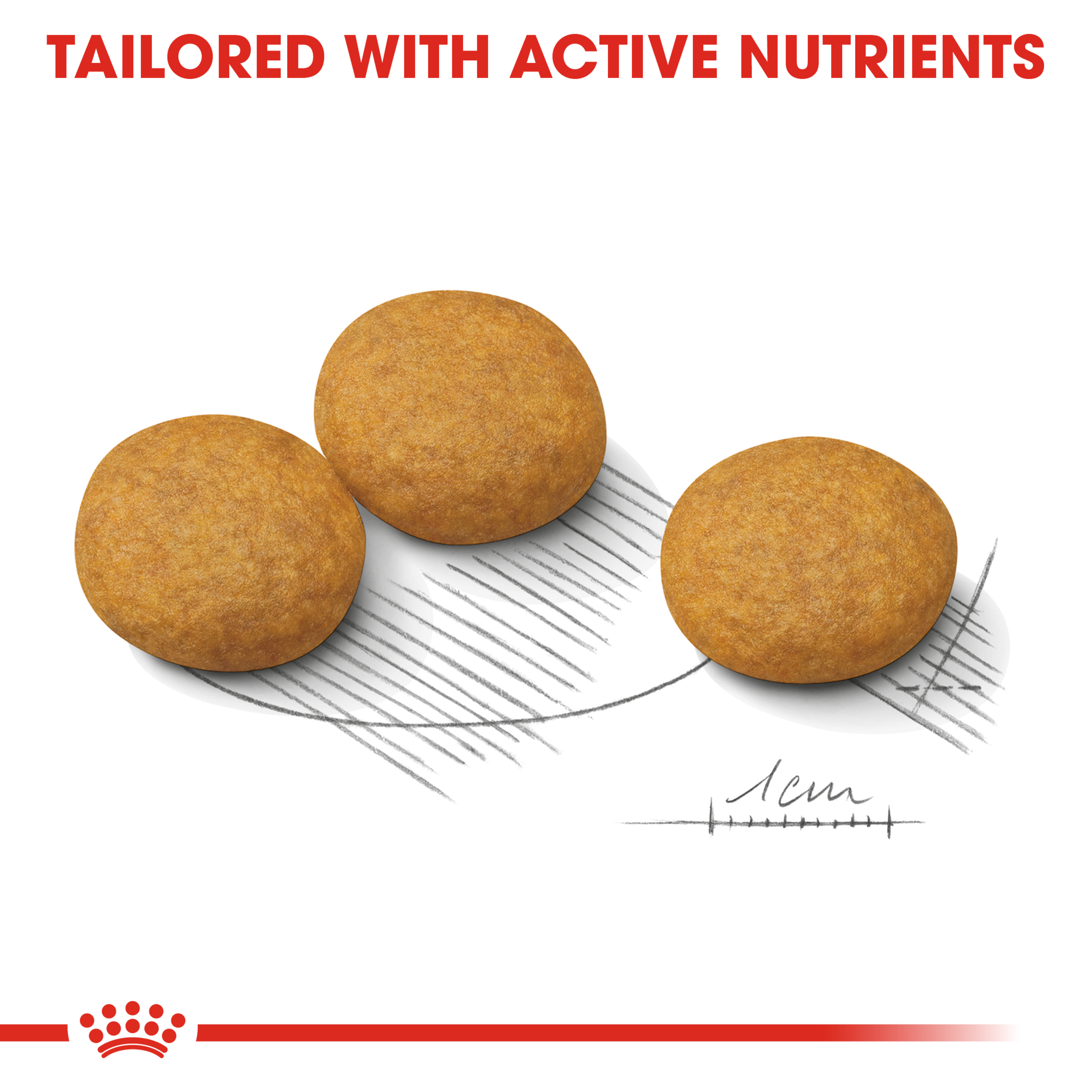 Royal Canin Medium Dermacomfort product detail 4