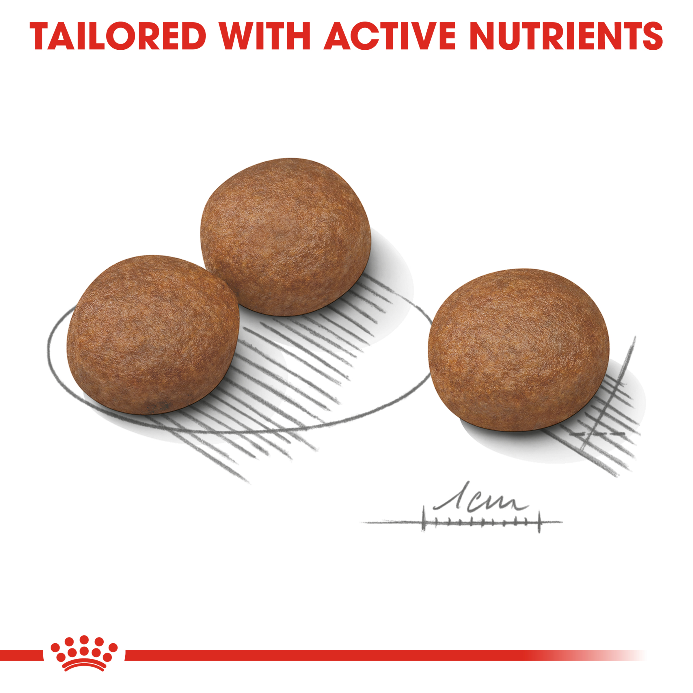 Royal Canin Medium Digestive Care product detail 4
