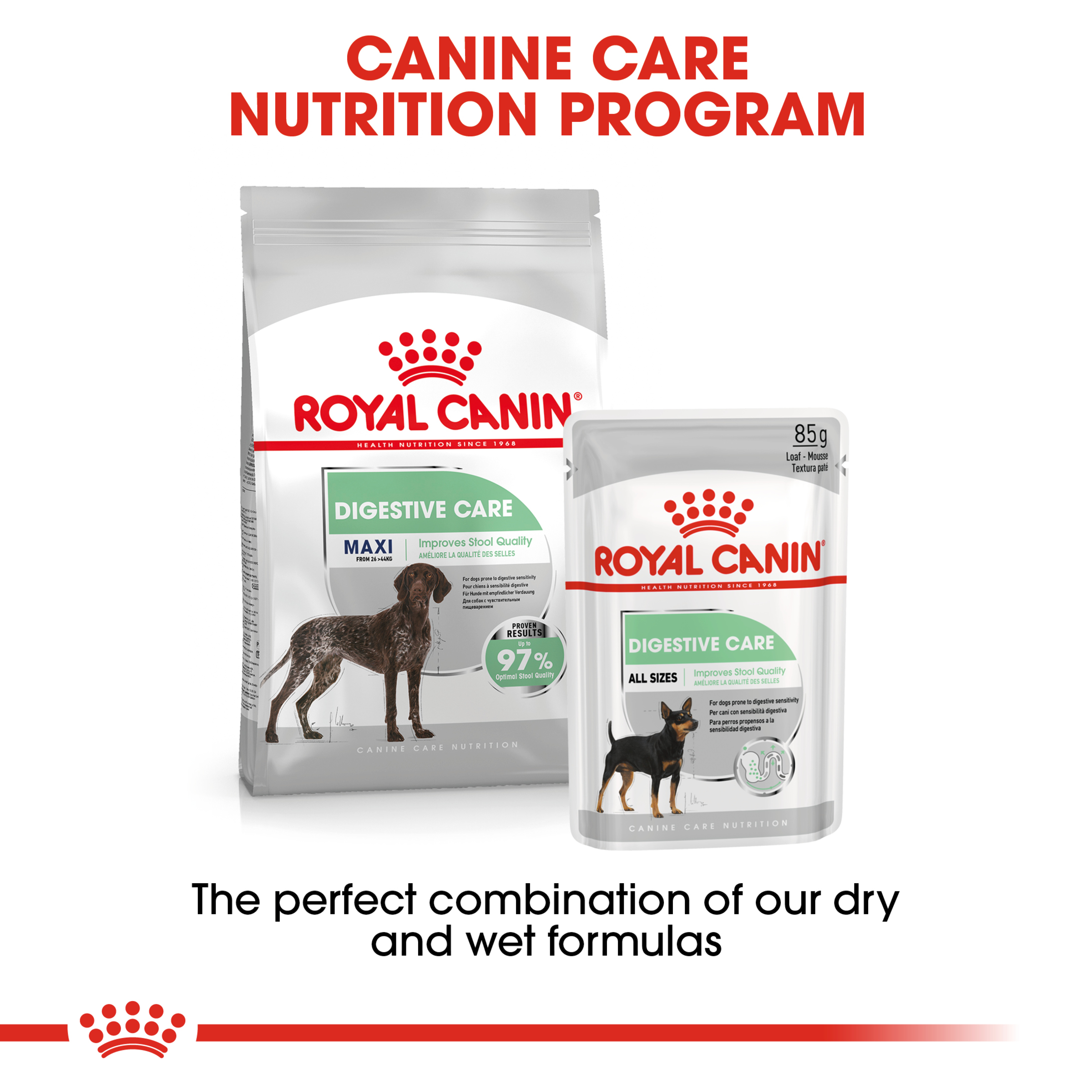 Royal Canin Maxi Digestive Care product detail 2