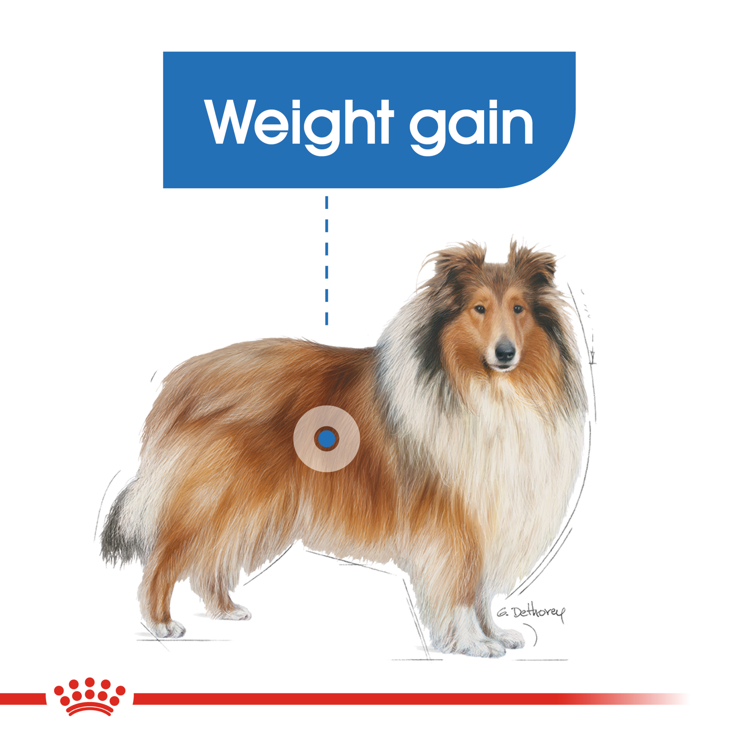 Royal Canin Maxi Light Weight Care product detail 3