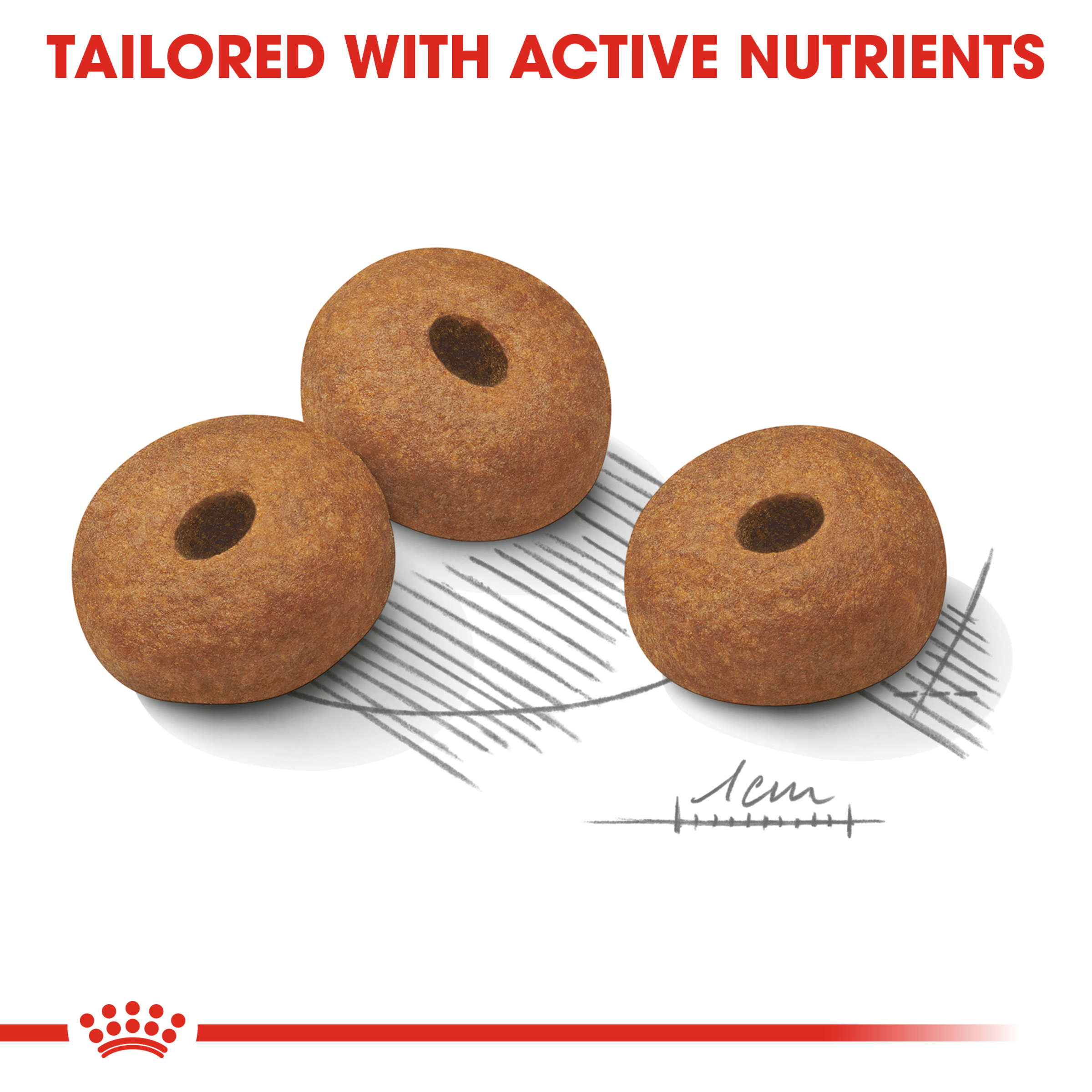 Royal Canin Maxi Light Weight Care product detail 4