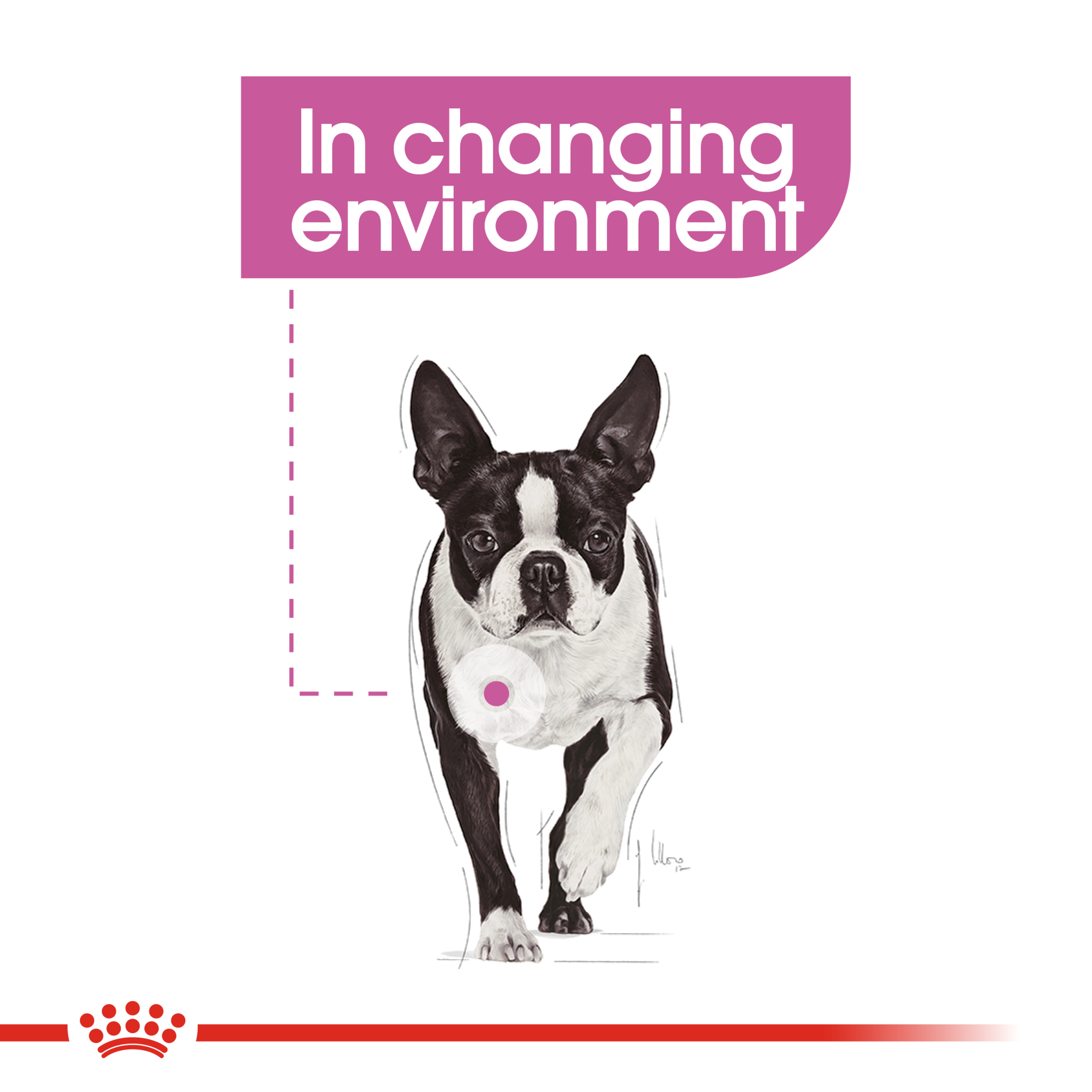 Royal Canin Mini Relax Care product detail 3