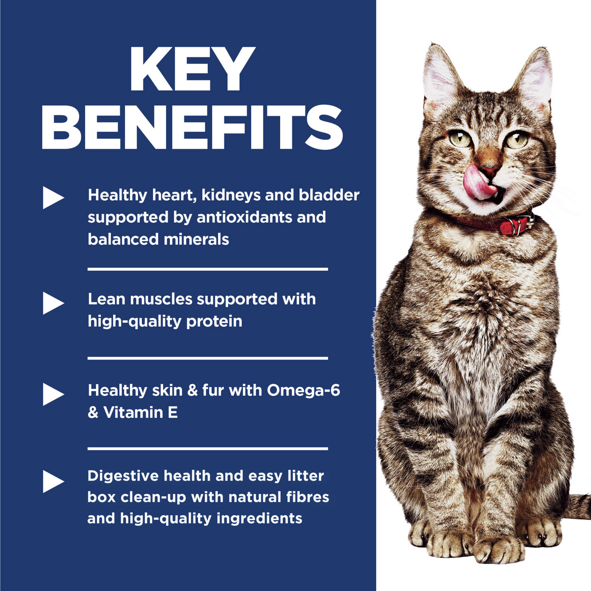 Key benefits panel for Hill's Adult 7+ Indoor: heart, kidney and bladder support, easy litter box clean-up