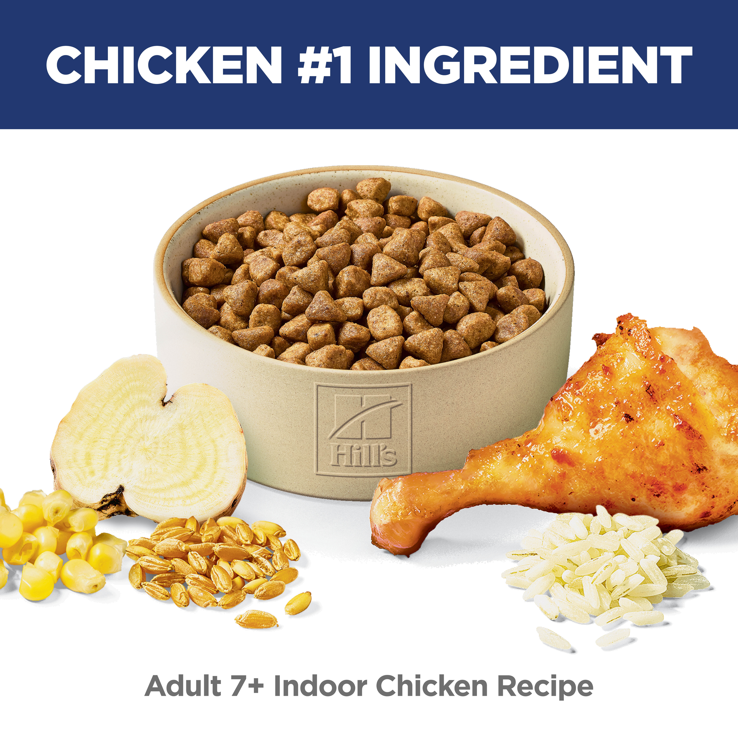 Chicken is the number one ingredient: bowl of Hill's Adult 7+ Indoor chicken recipe cat kibble