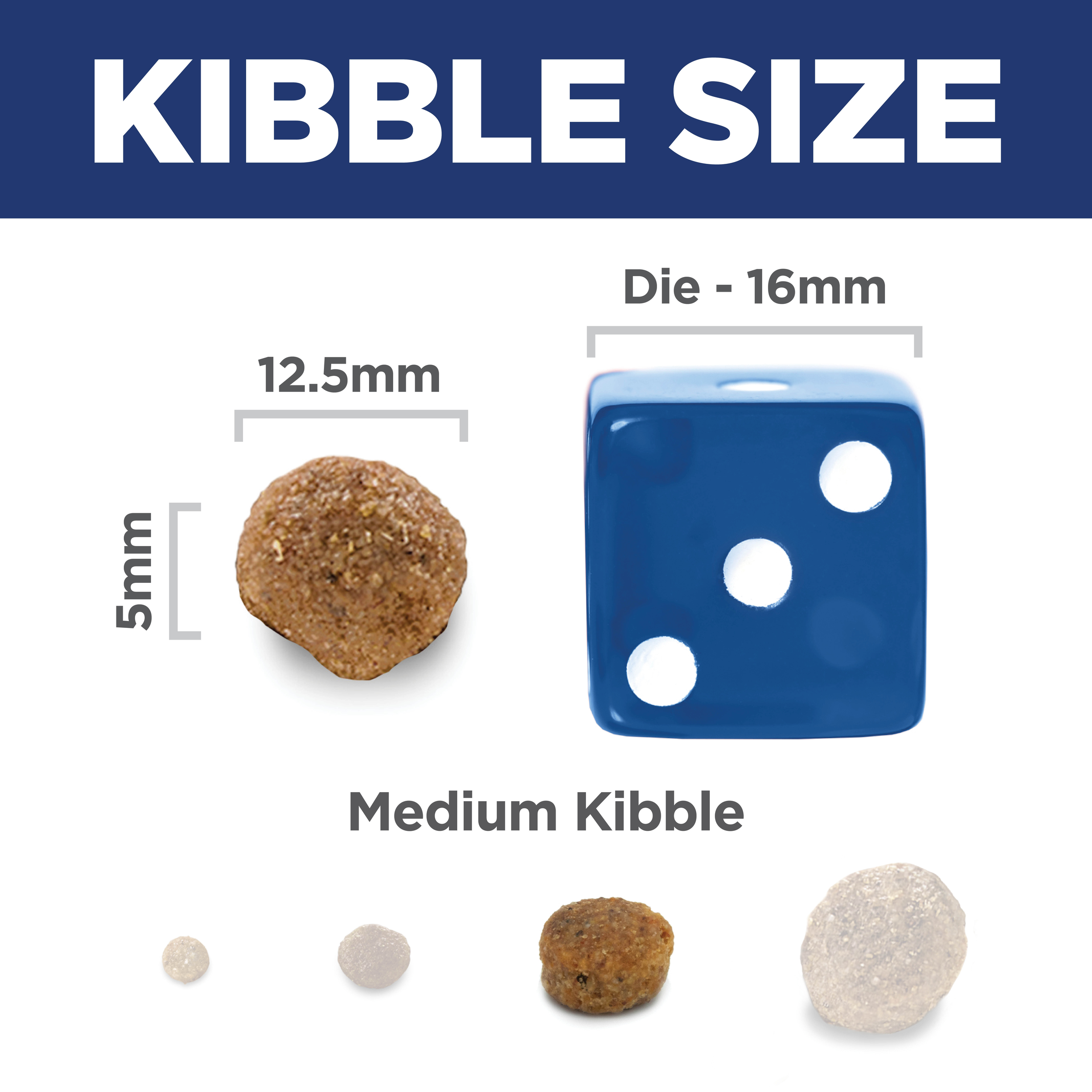 Kibble size comparison: 12.5mm by 5mm Hill's Adult Lamb and Rice dog kibble beside a 16mm dice
