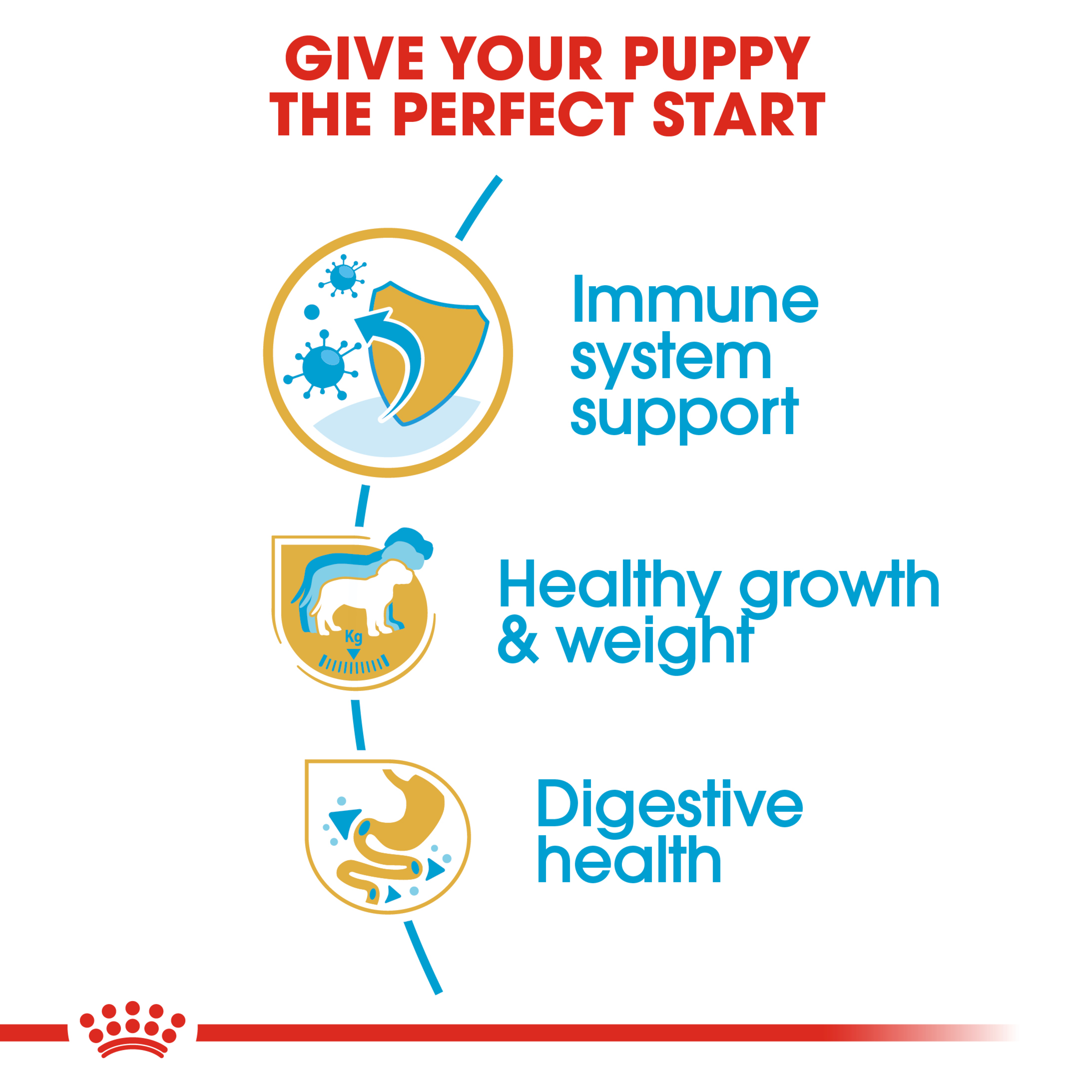 Royal Canin Labrador Retriever Puppy product detail 2