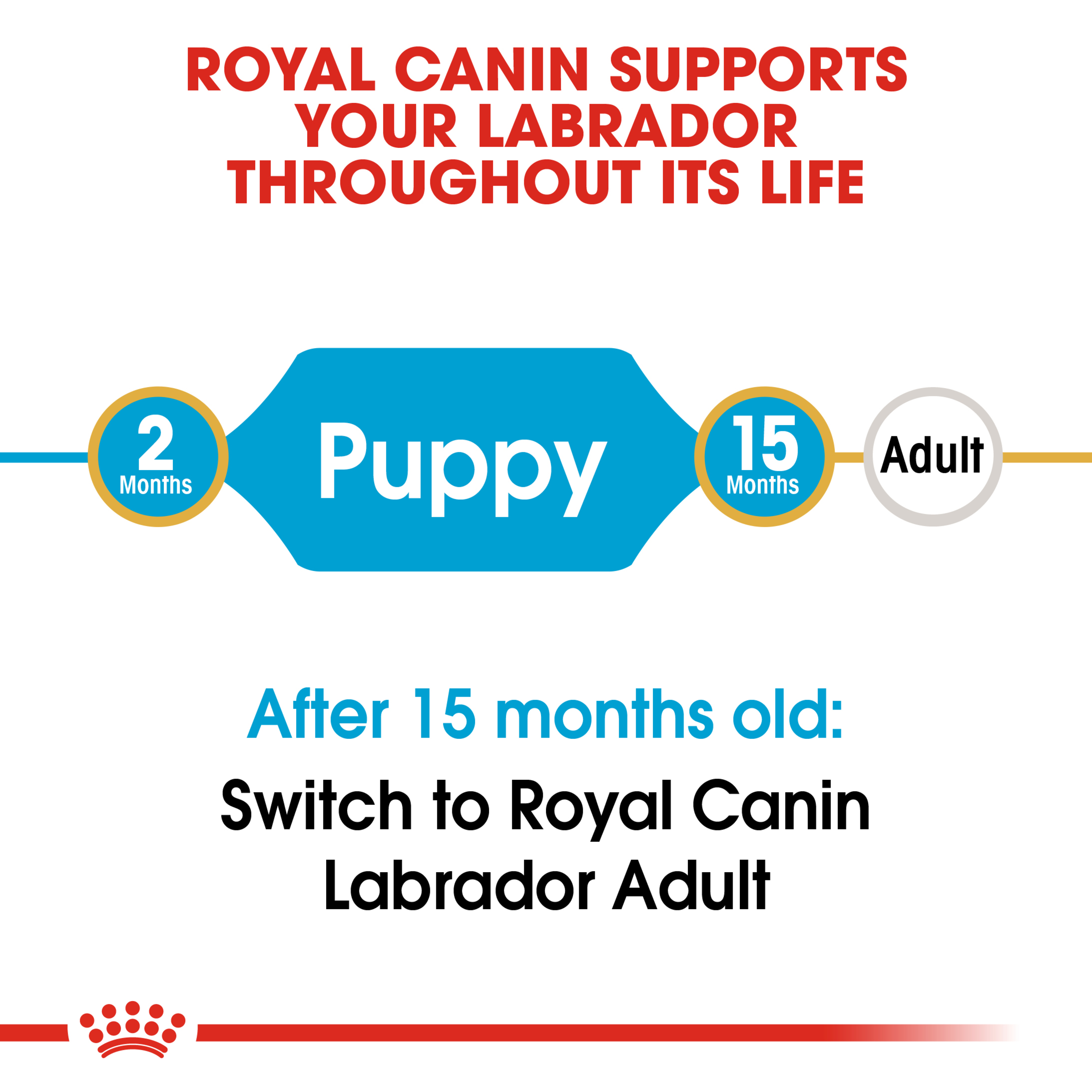 Royal Canin Labrador Retriever Puppy product detail 5