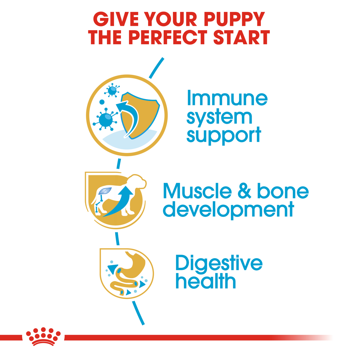 Royal Canin Rottweiler Puppy benefits: immune support, muscle and bone development, digestion