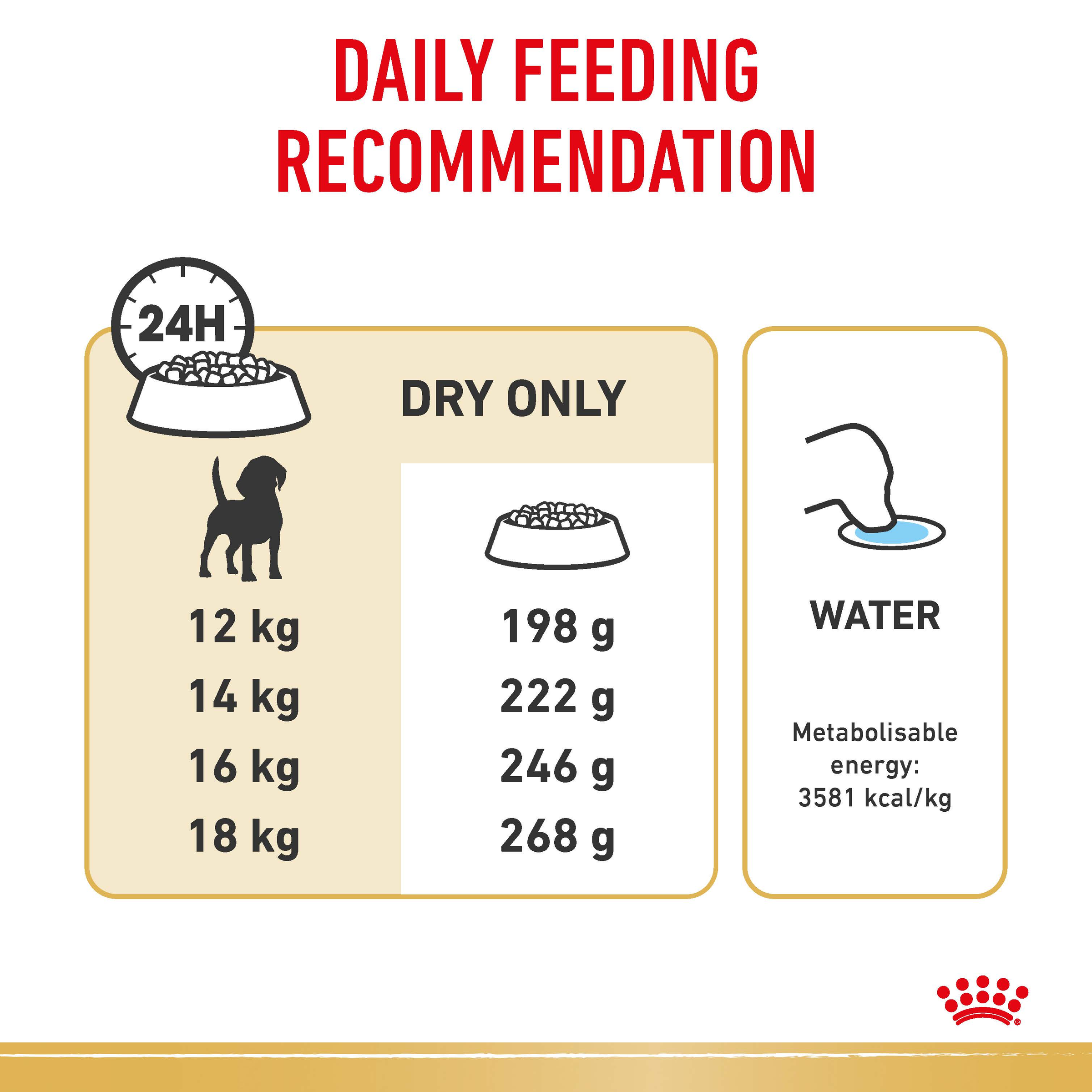 Royal Canin Beagle product detail 4