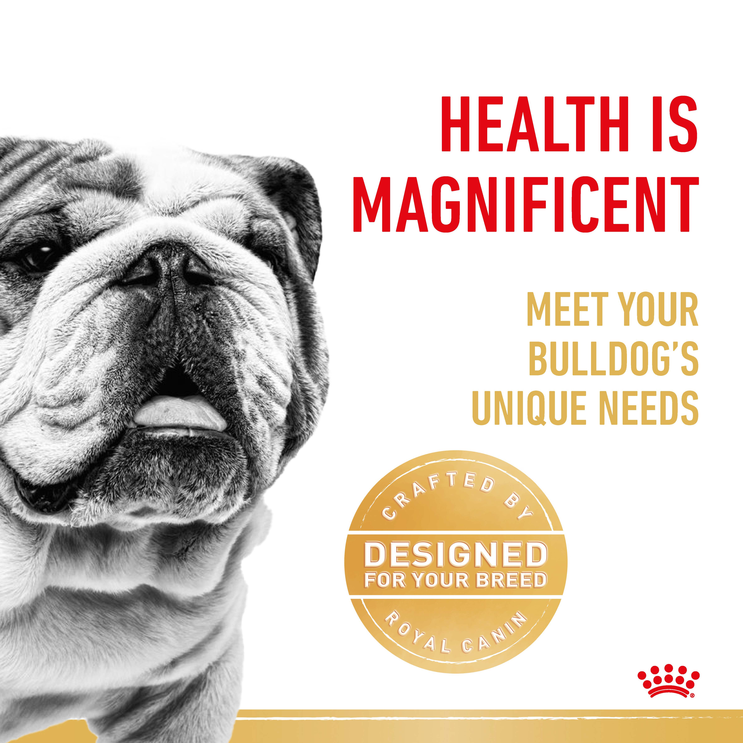 Royal Canin Bulldog product detail 2