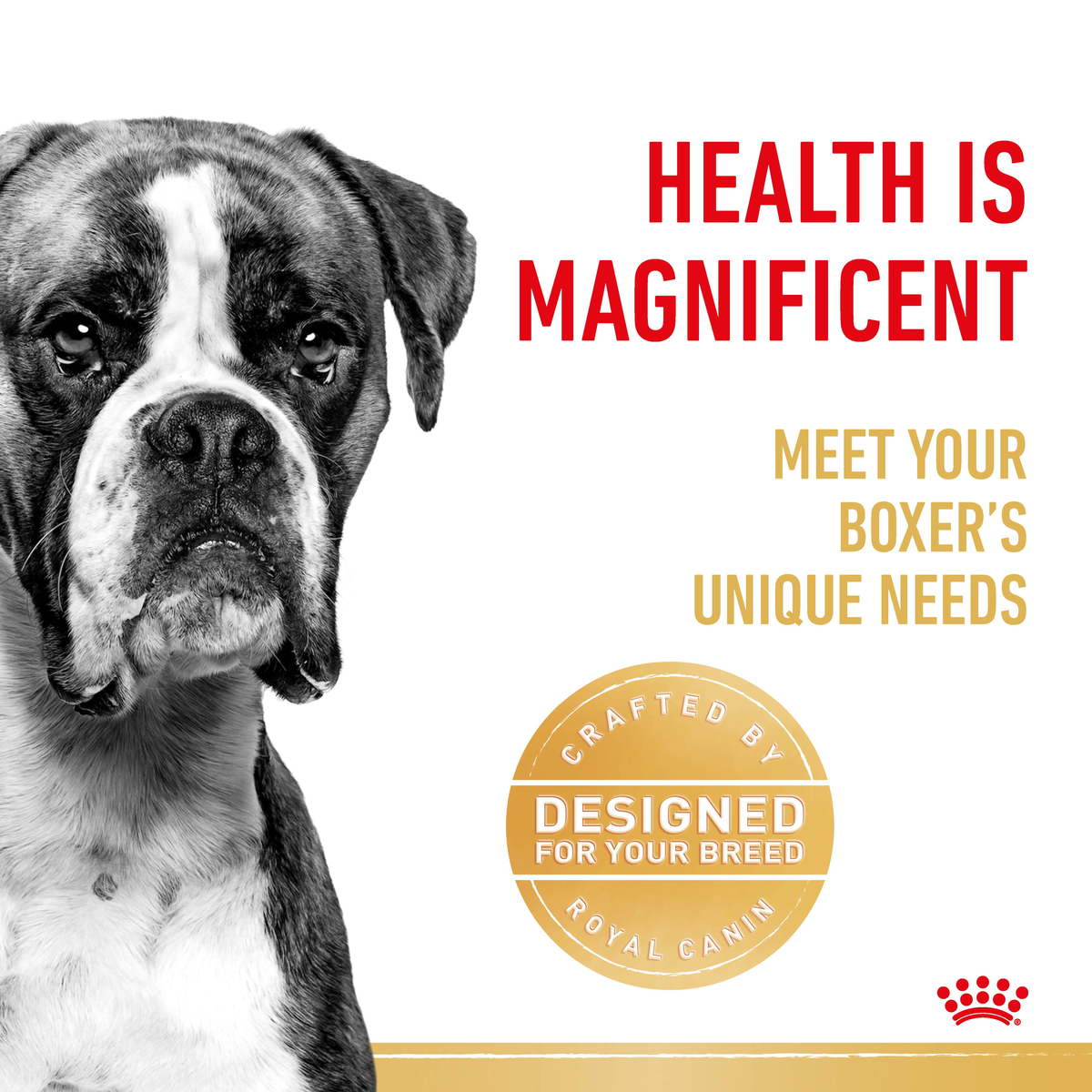 Black and white close-up of a Boxer beside a Royal Canin designed-for-your-breed seal