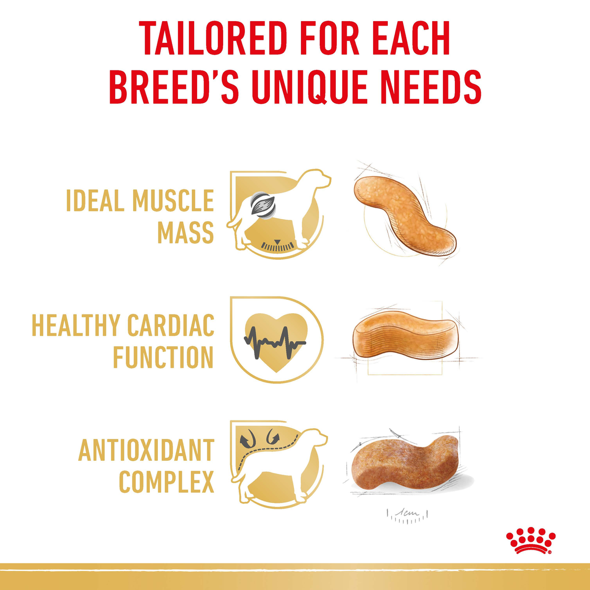 Royal Canin Boxer benefits graphic: ideal muscle mass, healthy cardiac function, antioxidant complex
