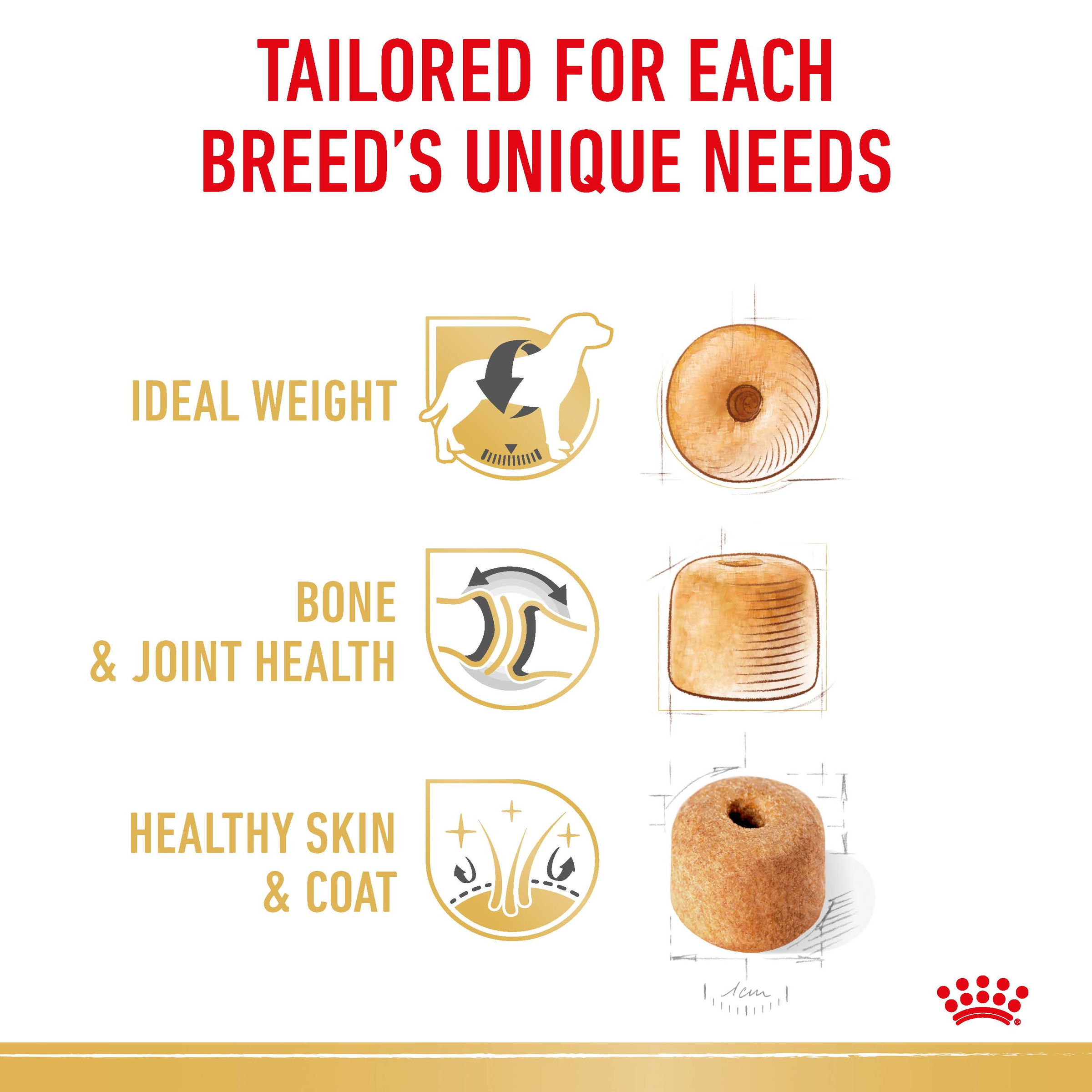 Royal Canin Labrador Retriever benefits: ideal weight, bone and joint health, skin and coat