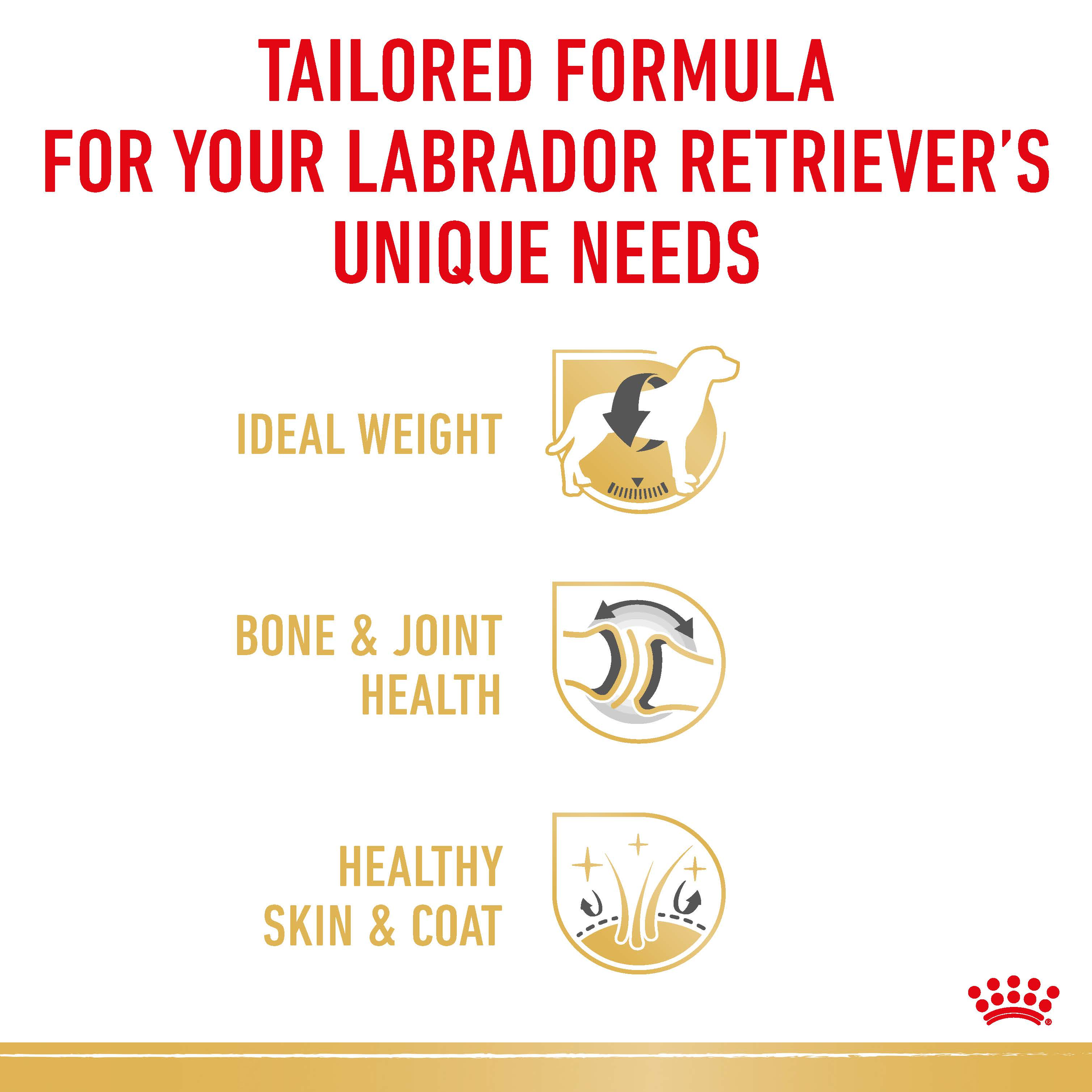 Royal Canin Labrador Retriever benefits: ideal weight, bone and joint health, skin and coat