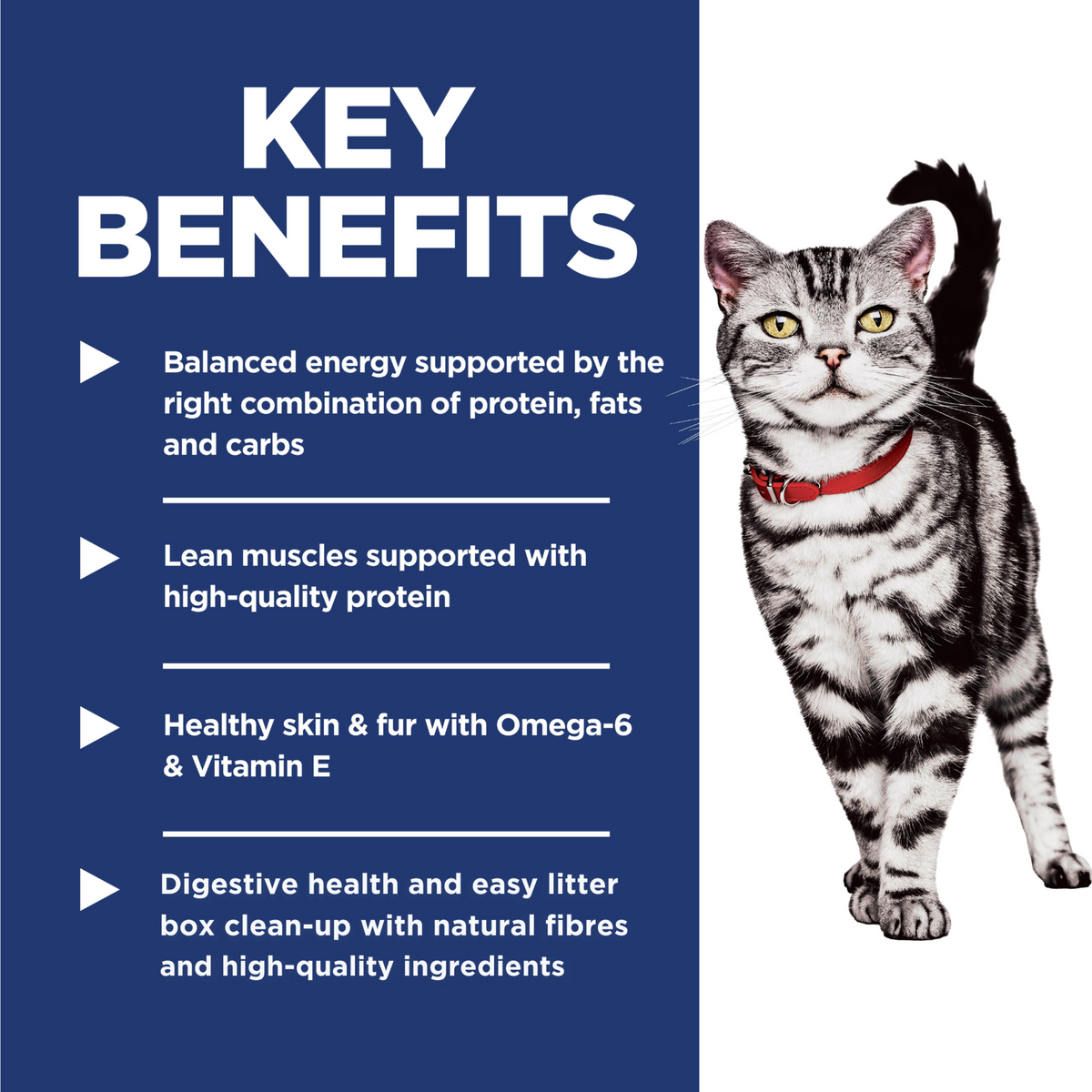Key benefits panel for Hill's Adult Indoor: balanced energy, lean muscles and easy litter box clean-up