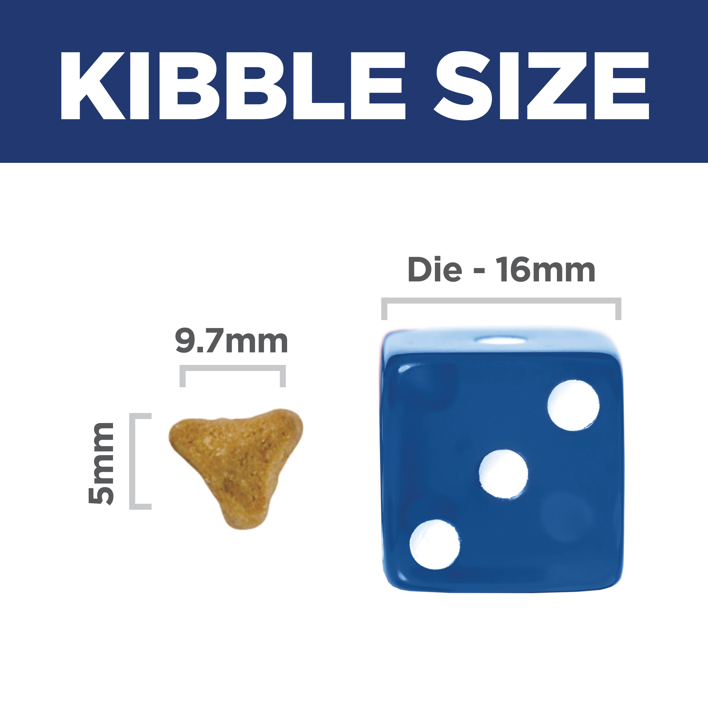 Kibble size comparison: 9.7mm by 5mm Hill's Adult Indoor cat kibble beside a 16mm dice
