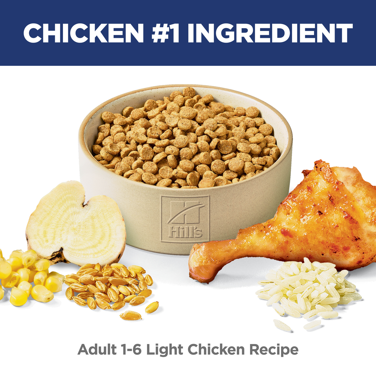 Chicken is the number one ingredient: bowl of Hill's Adult Light chicken recipe cat kibble