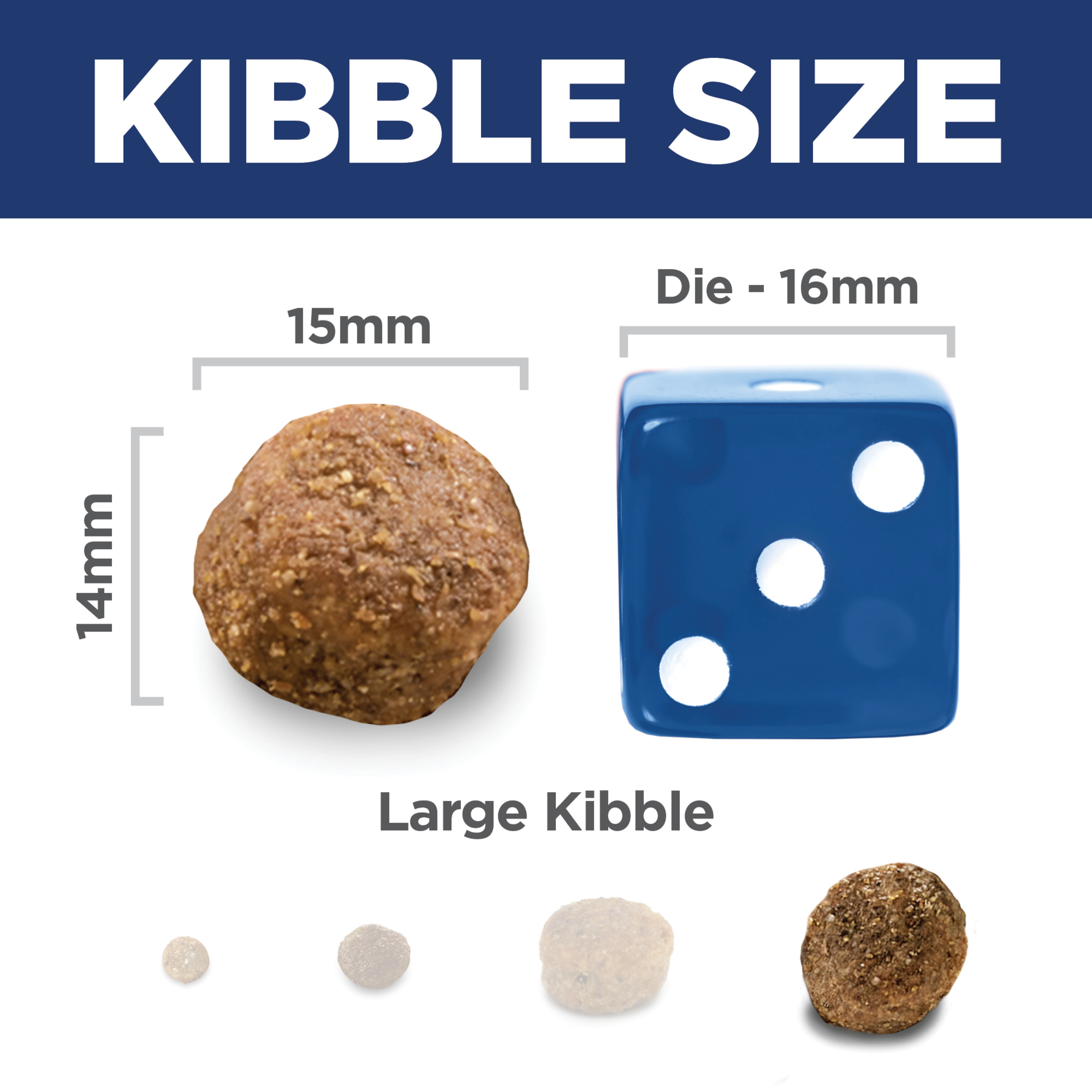 Kibble size comparison: 15mm by 14mm Hill's Adult Large Breed dog kibble beside a 16mm dice