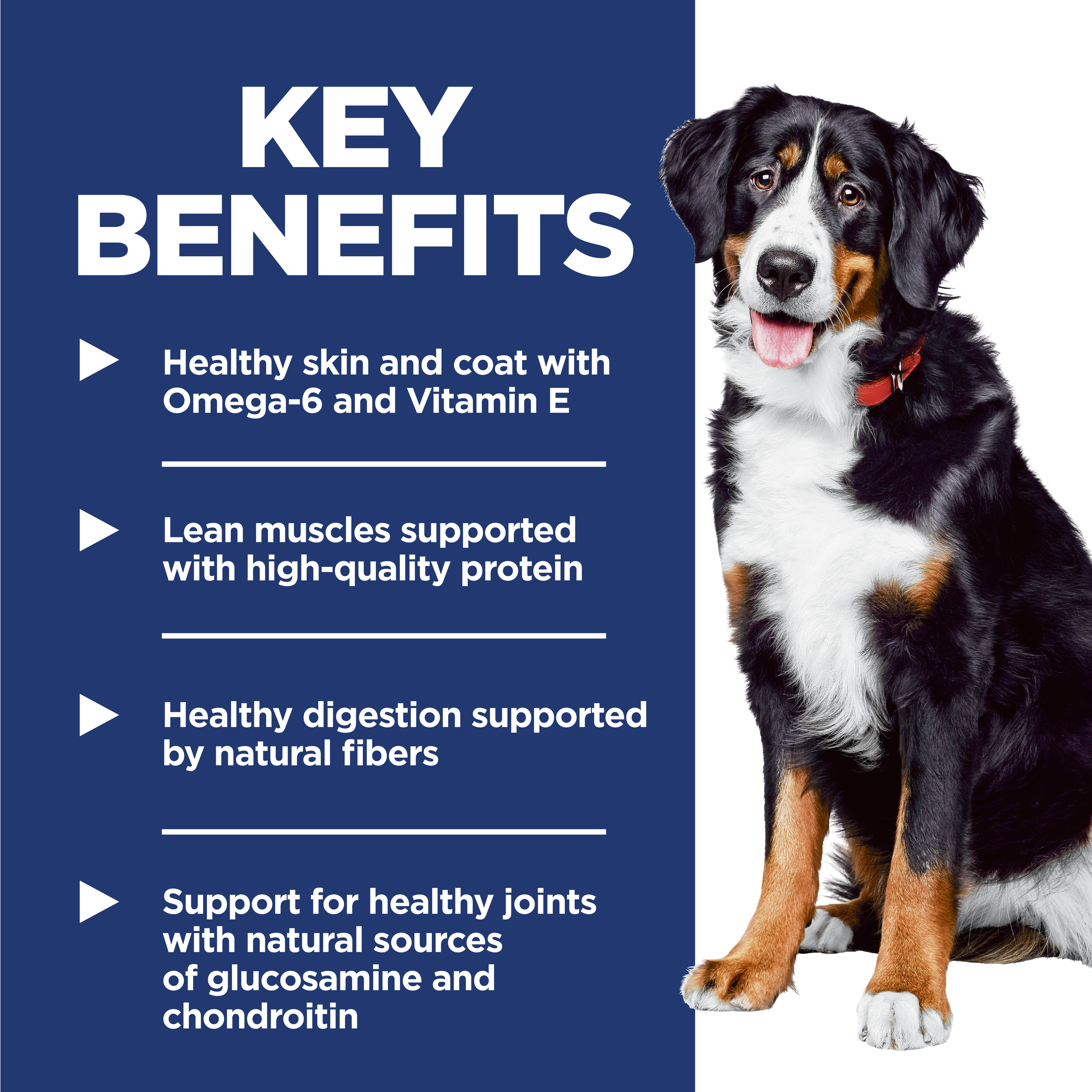 Key benefits panel for Hill's Adult Large Breed: skin, coat, lean muscles, digestion and joint support