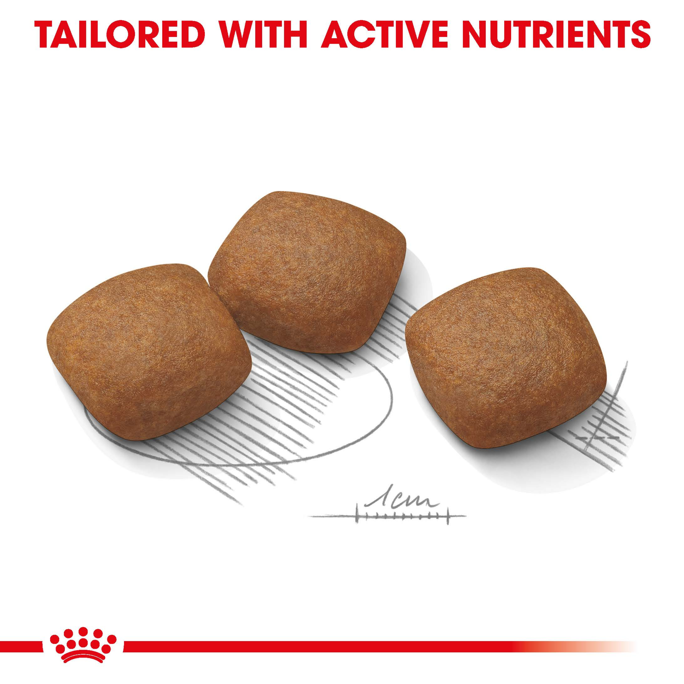 Royal Canin Maxi Joint Care product detail 3