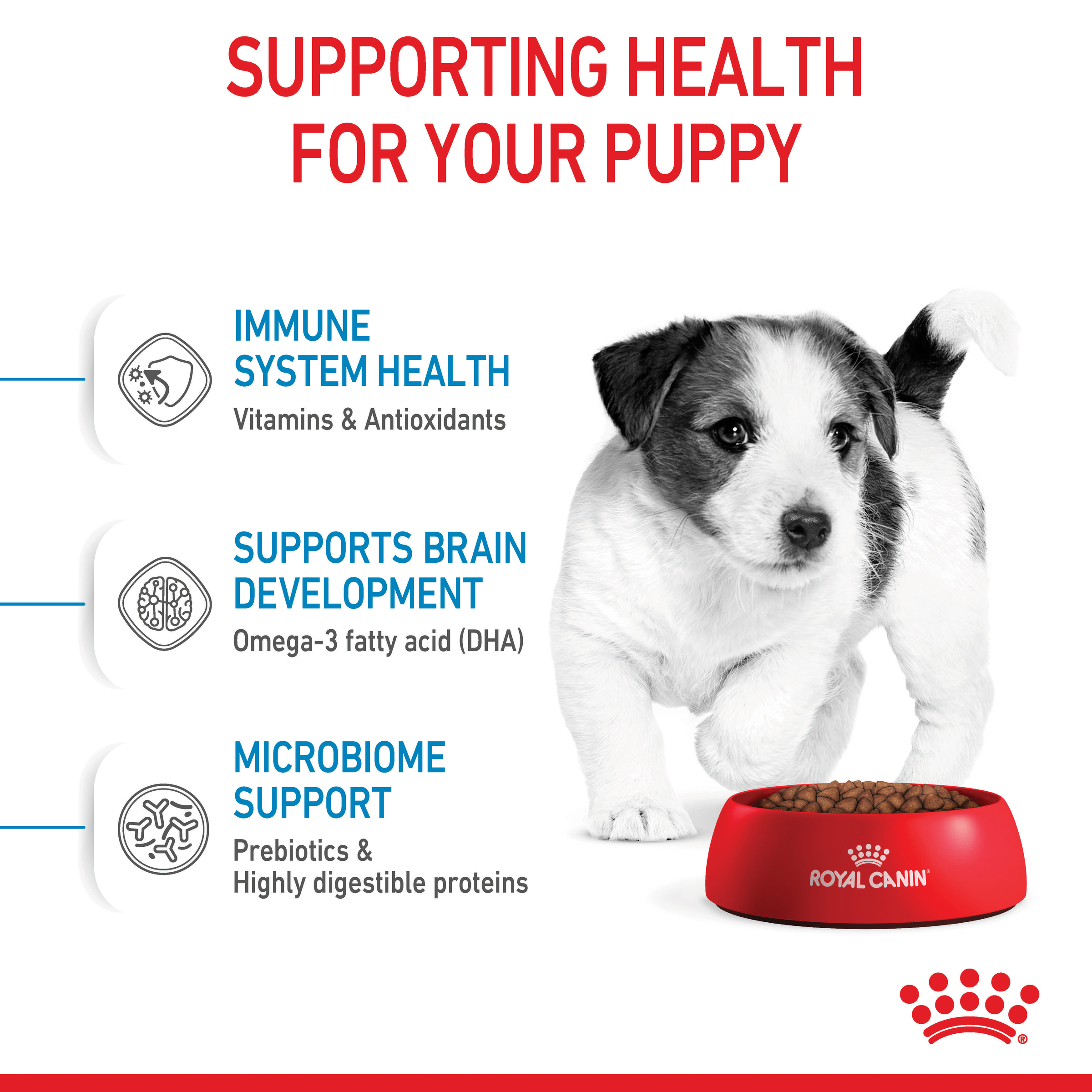 Royal Canin Mini Puppy product detail 4