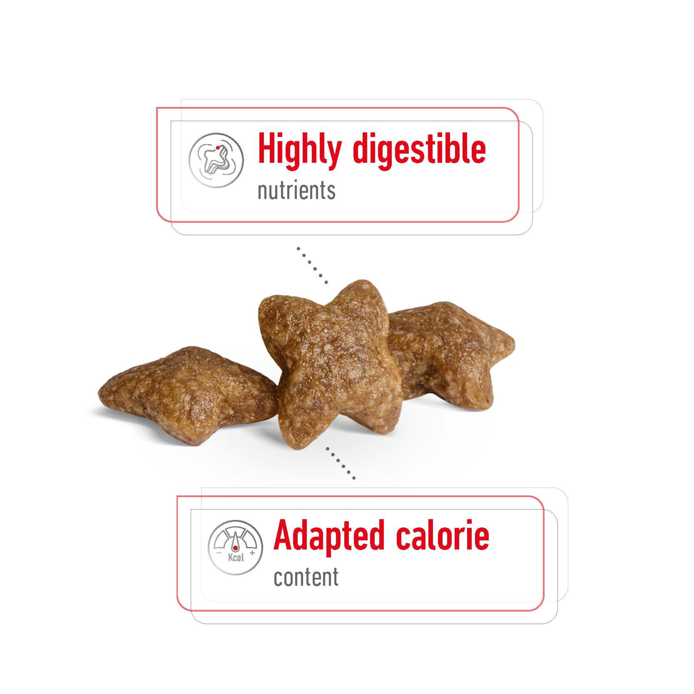 Royal Canin Mini Adult product detail 3