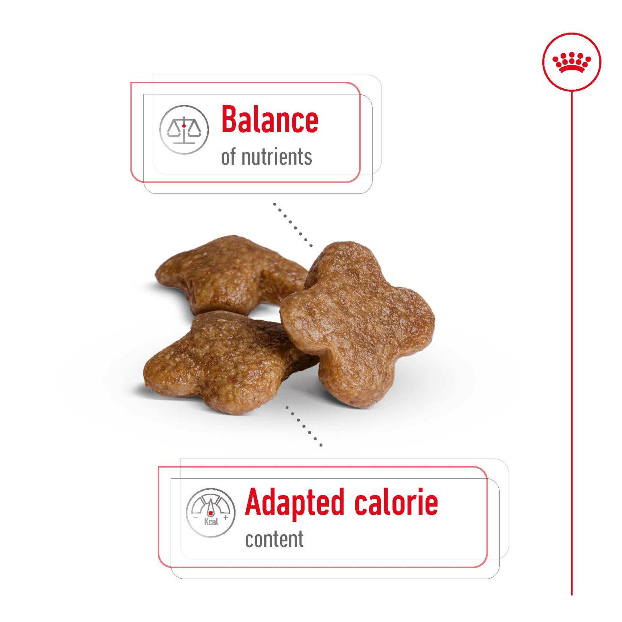 Royal Canin Mini Adult 8+ product detail 3