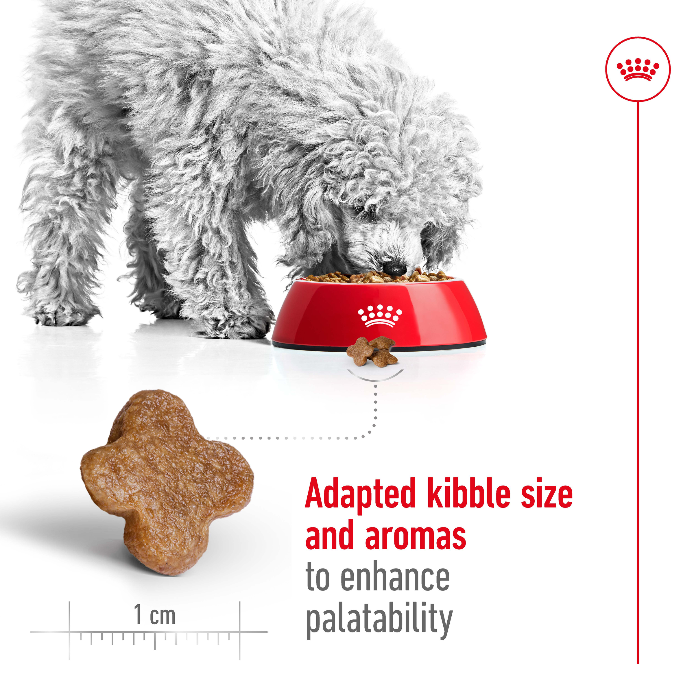 Royal Canin Mini Adult 8+ product detail 4