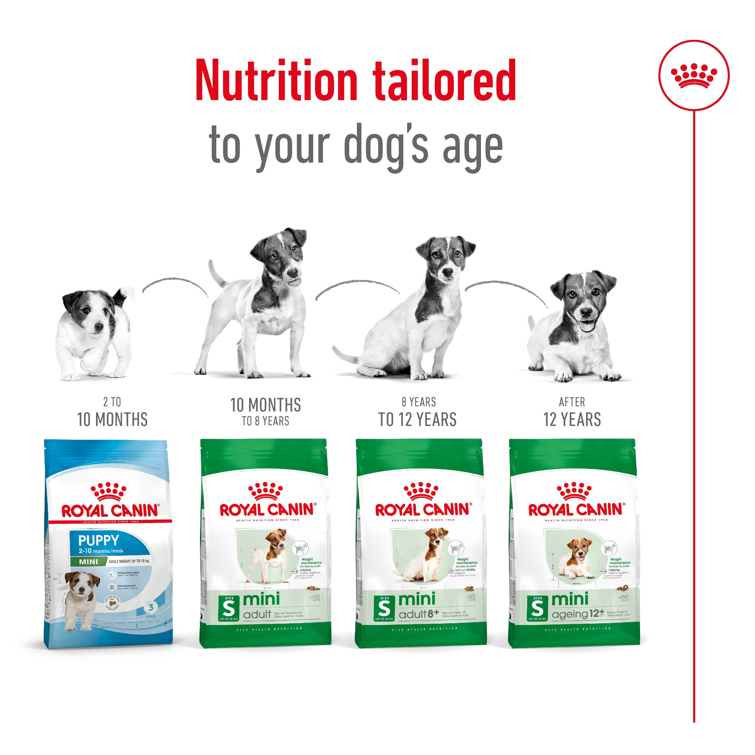 Royal Canin Mini Adult 8+ product detail 5