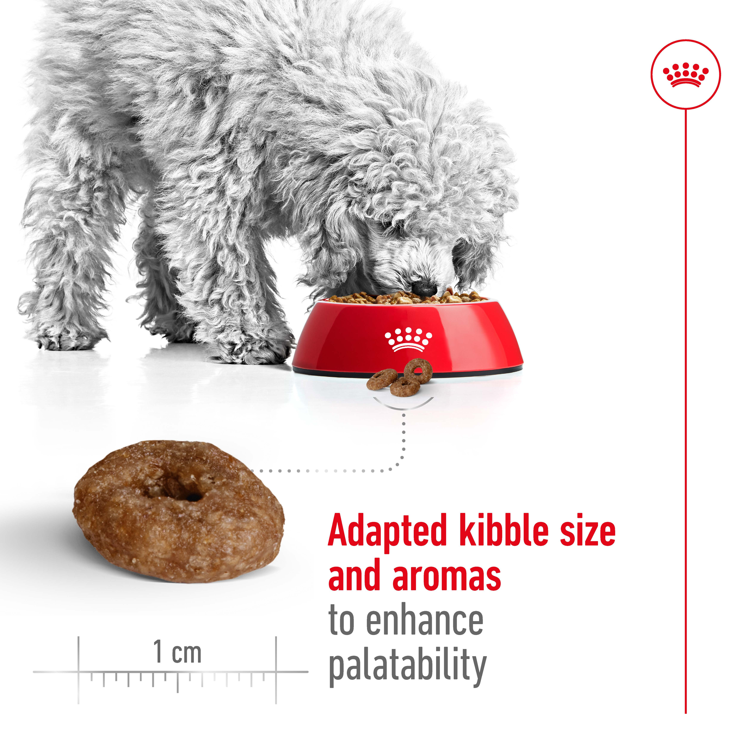 Royal Canin Mini Ageing 12+ product detail 4