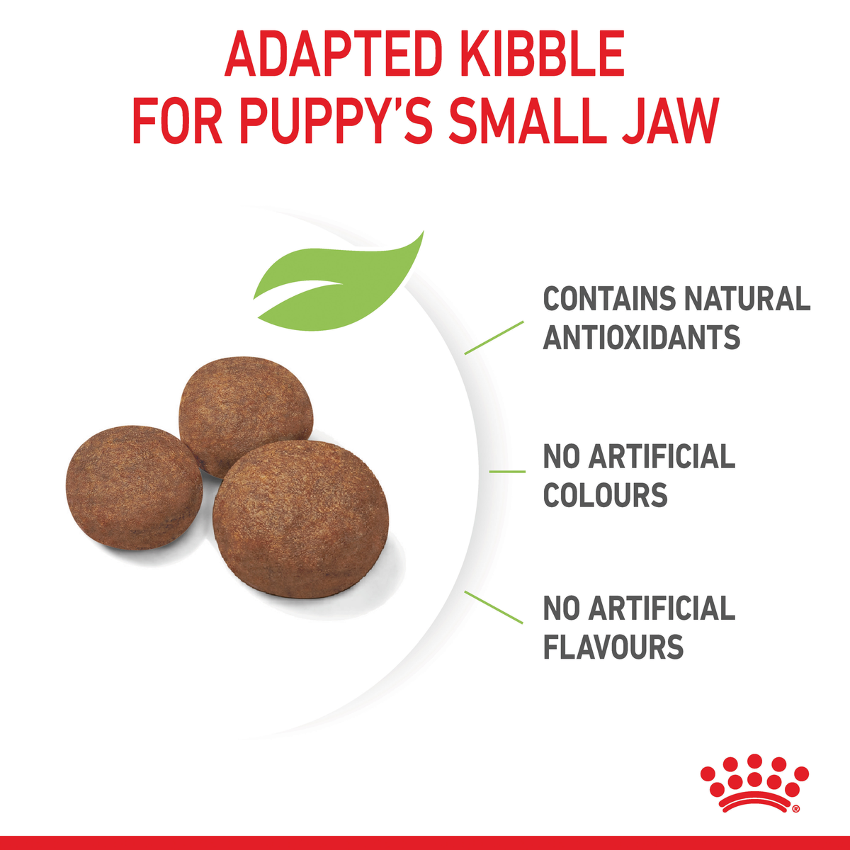 Royal Canin Medium Puppy kibble adapted to a puppy's small jaw, with no artificial colours