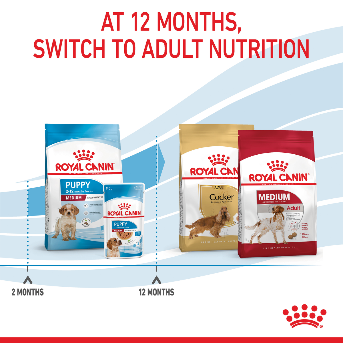 Royal Canin Medium packs showing the switch to adult nutrition at 12 months
